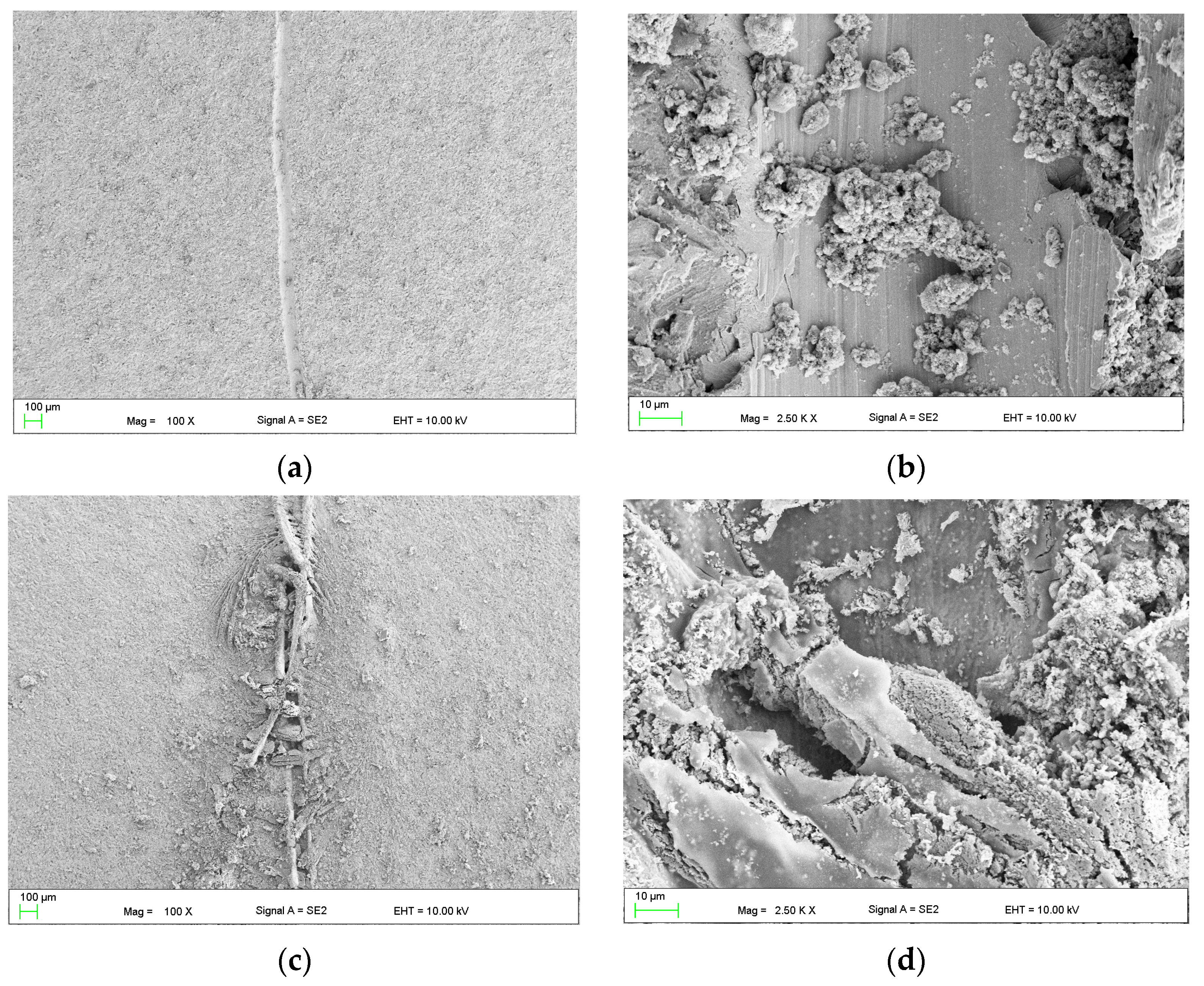 Materials 16 07486 g007