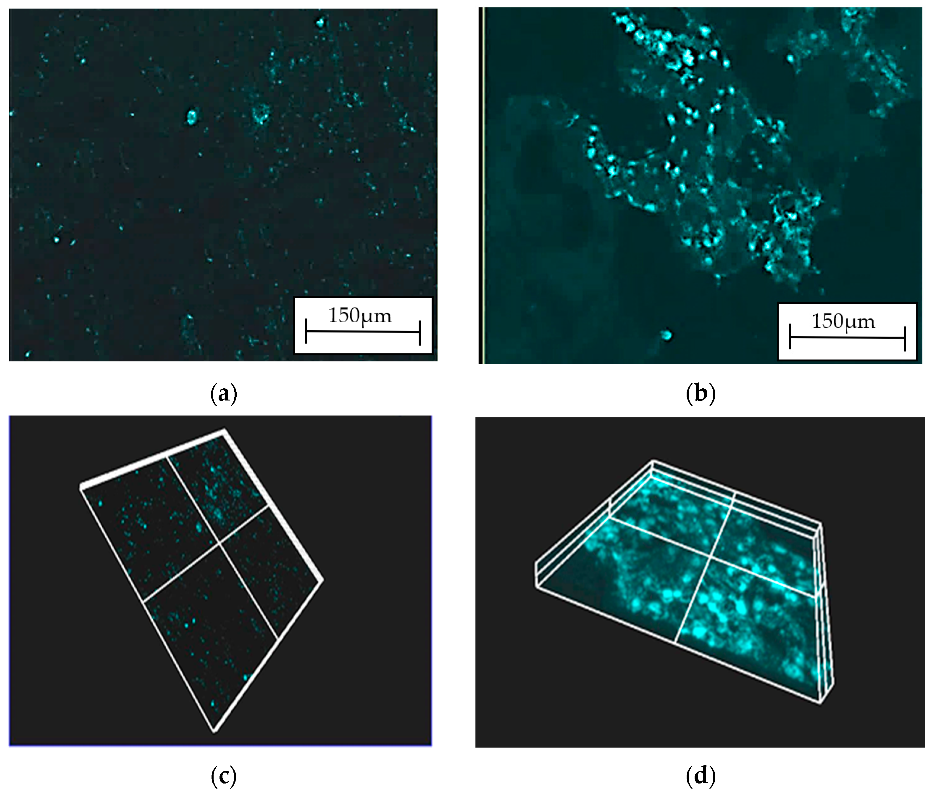 Materials 16 07486 g008