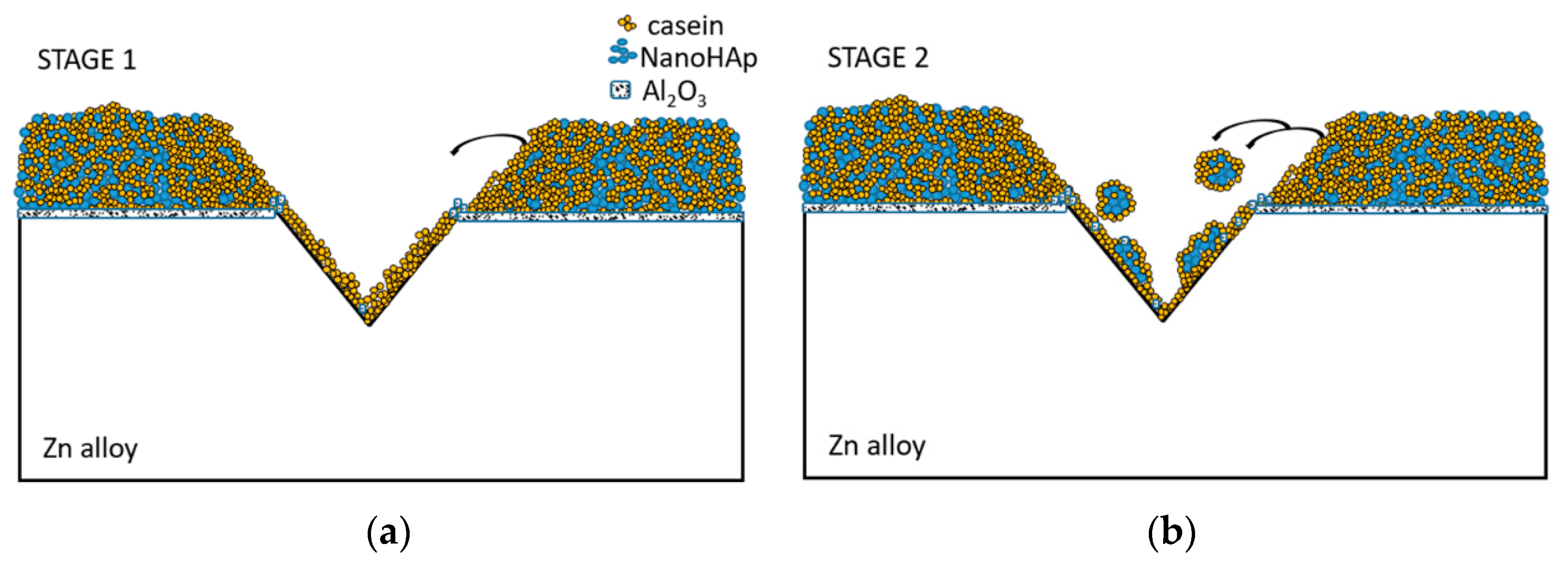 Materials 16 07486 g010