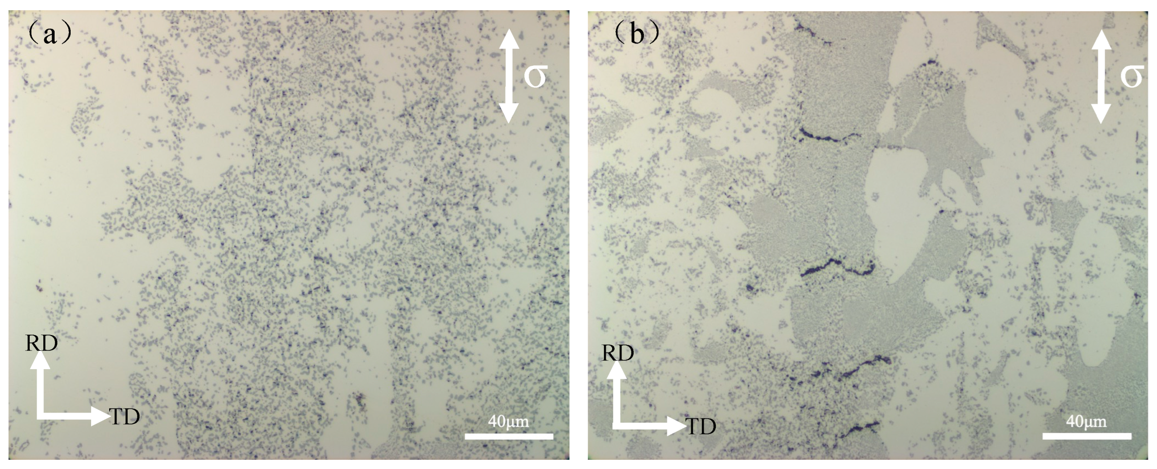 Materials 16 07488 g010