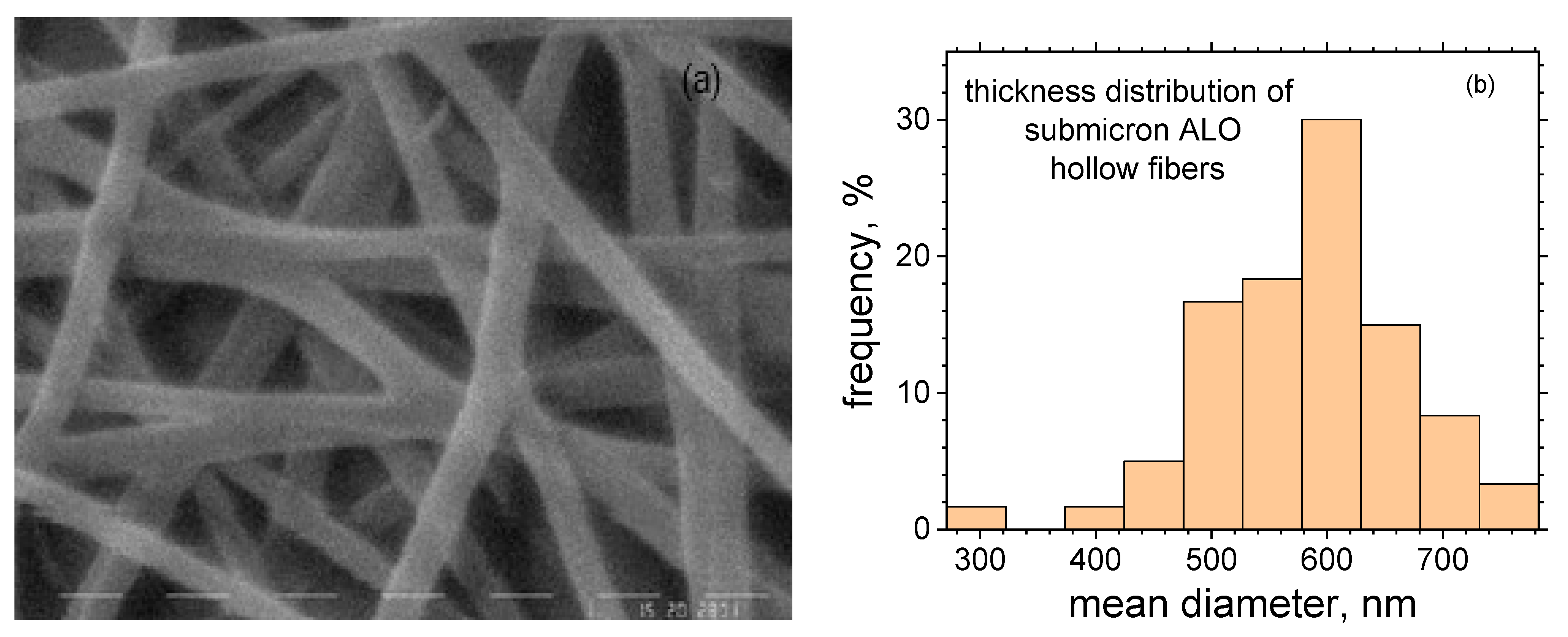 Materials 16 07489 g004