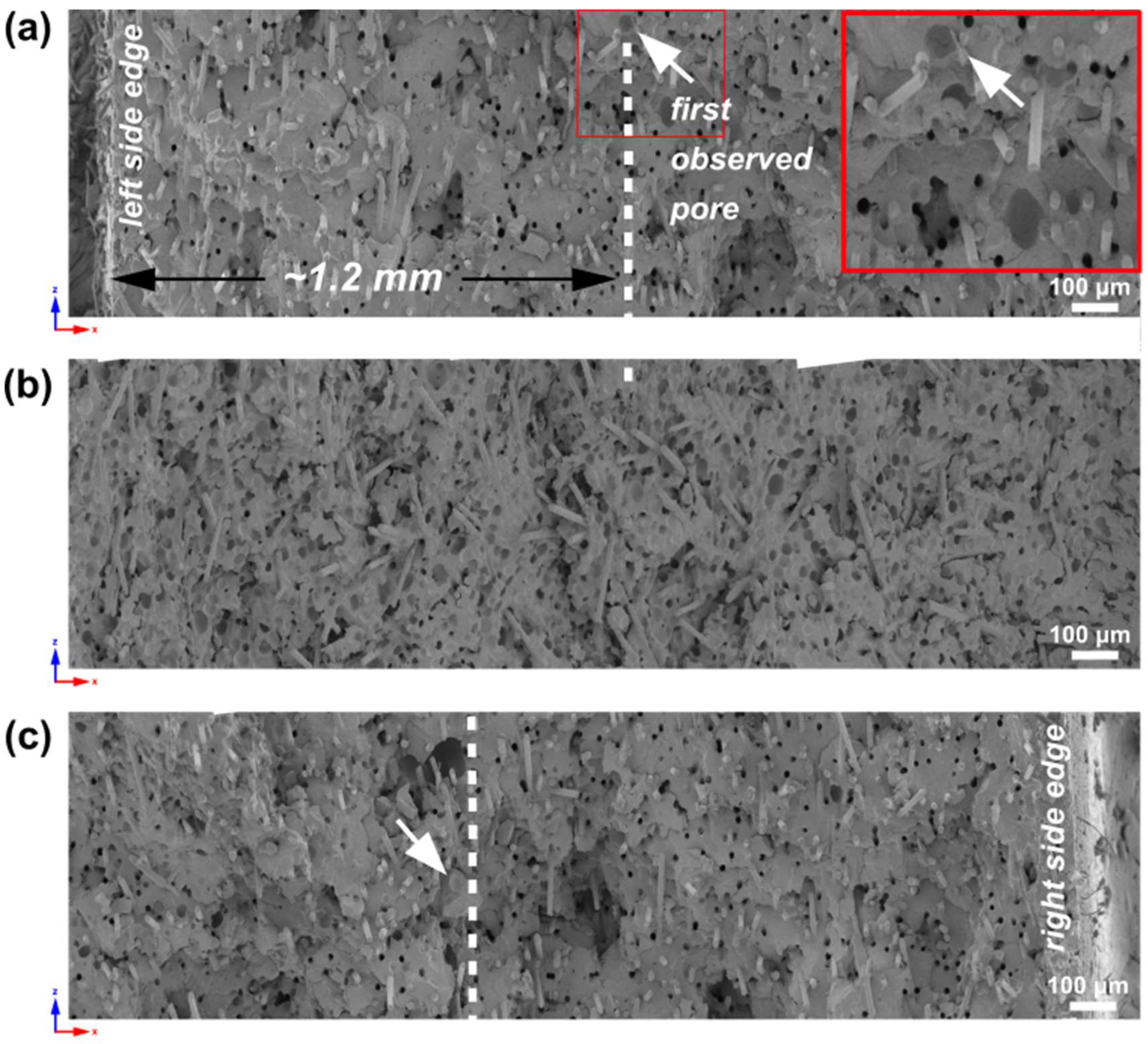 Materials 16 07501 g007