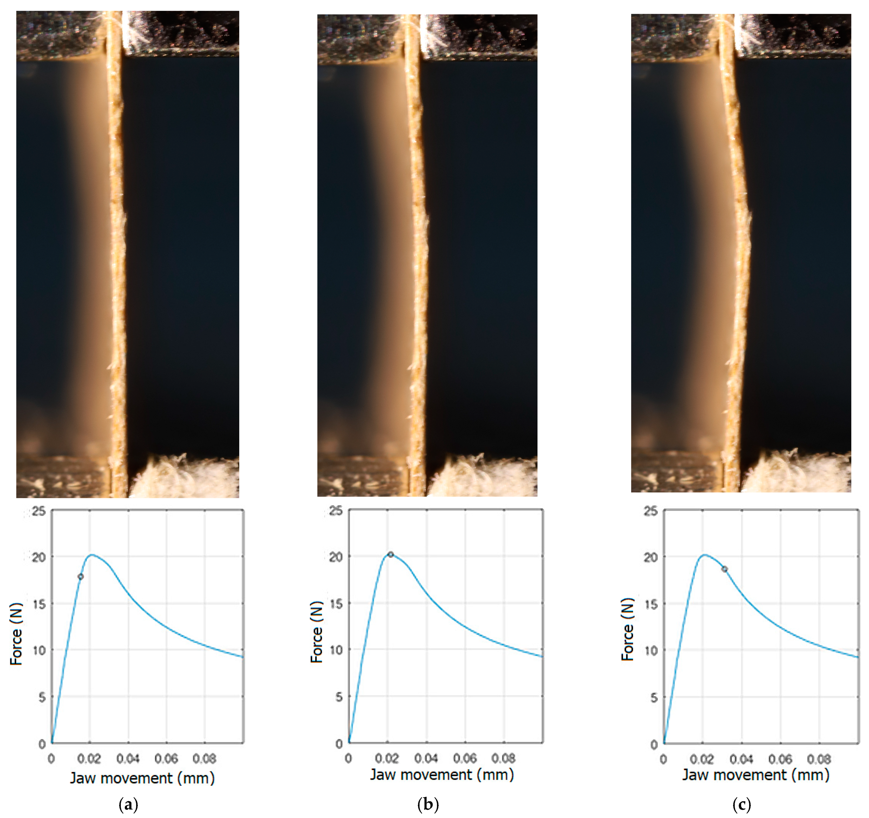 Materials 16 07513 g006