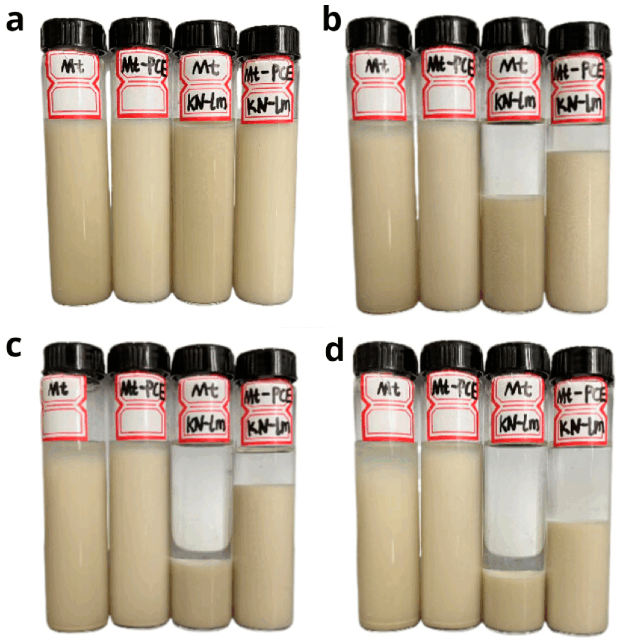 Materials 16 07515 g006