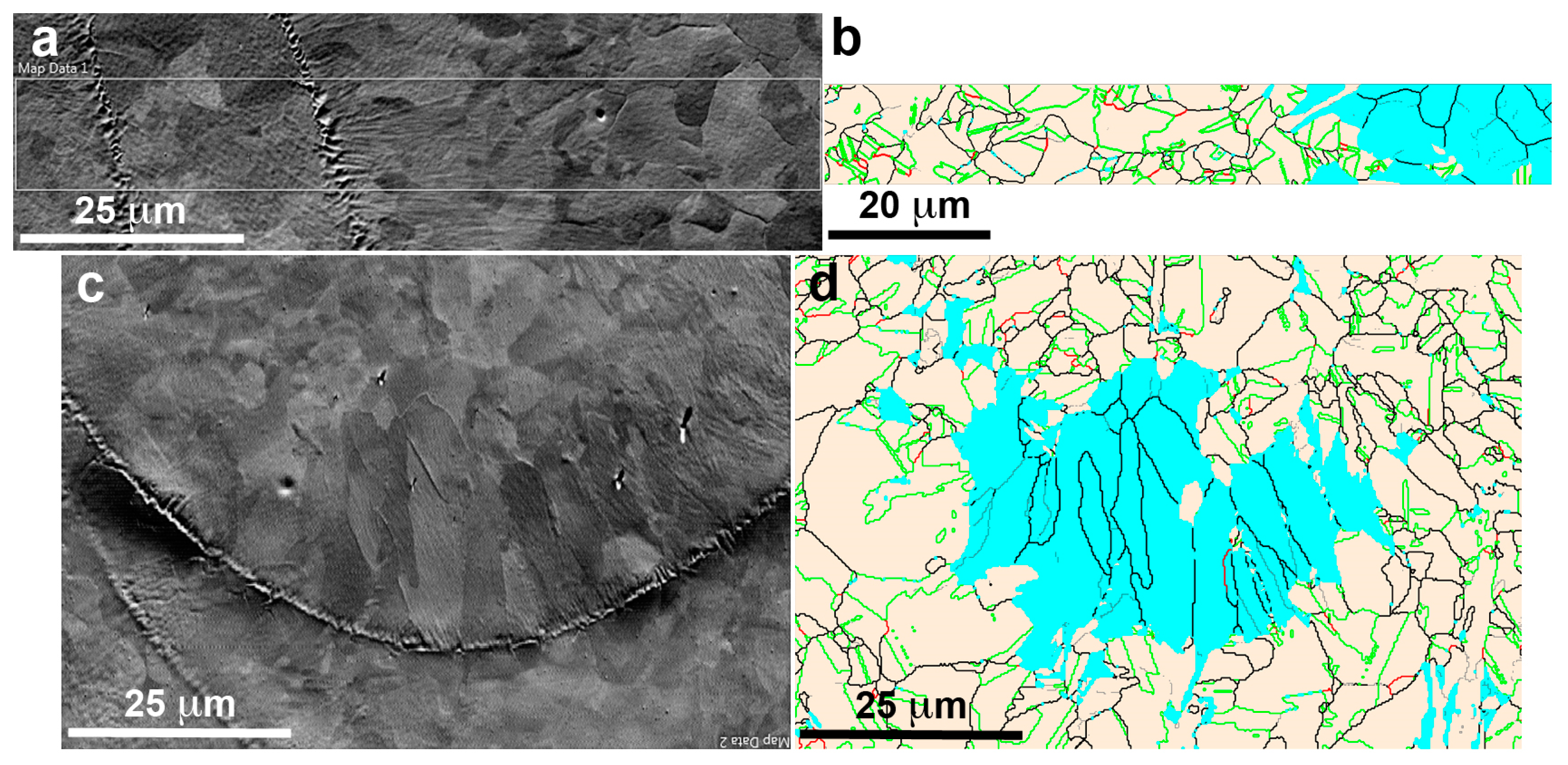 Materials 16 07517 g003