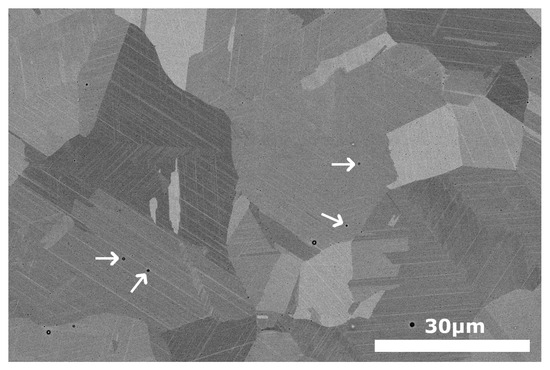 Additive Manufacturing of Fe-Mn-Si-Based Shape Memory Alloys