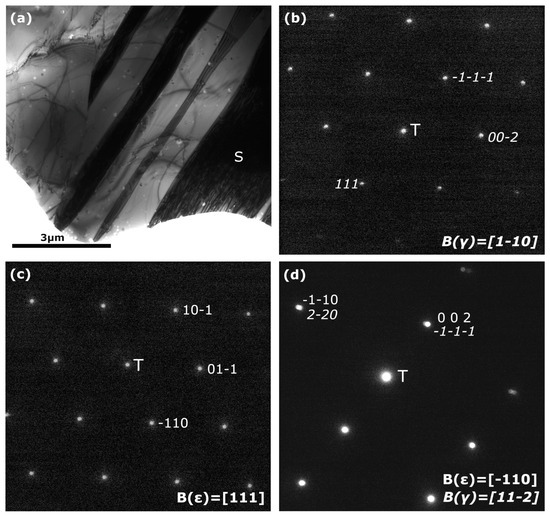 Additive Manufacturing of Fe-Mn-Si-Based Shape Memory Alloys