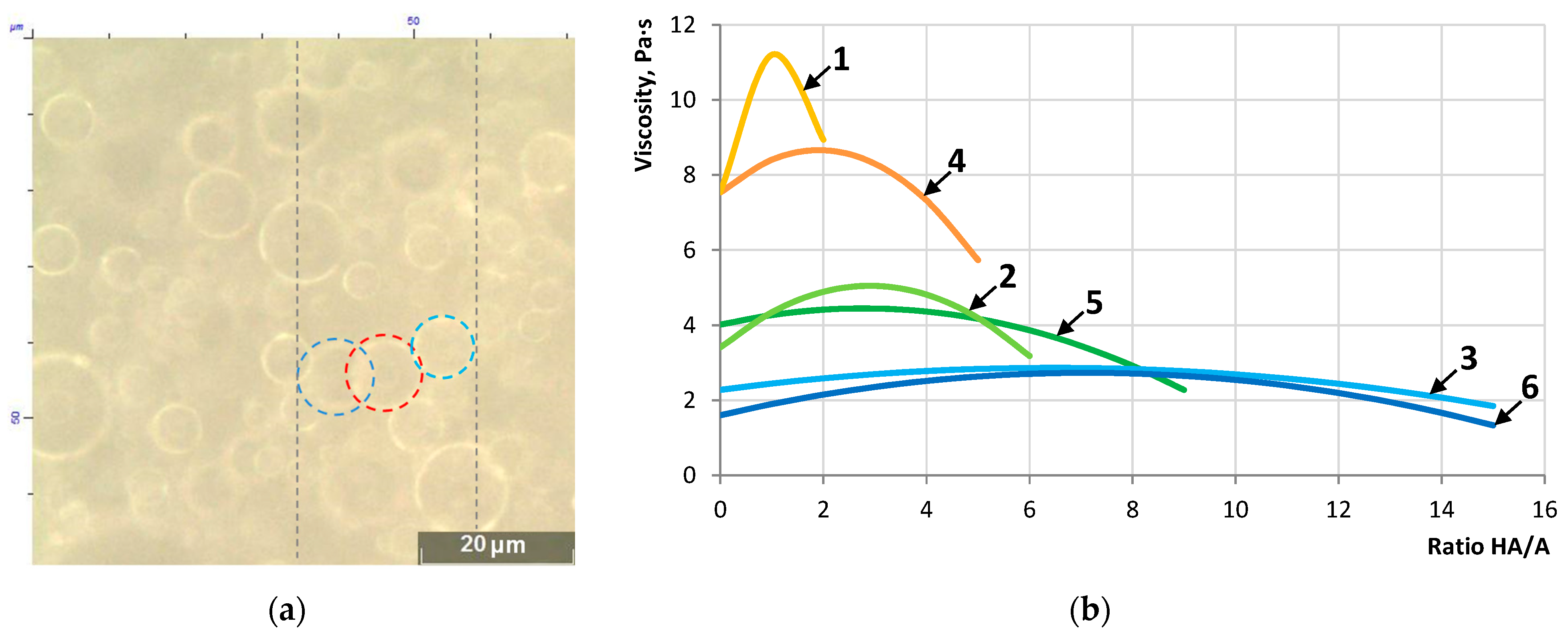 Materials 16 07542 g006