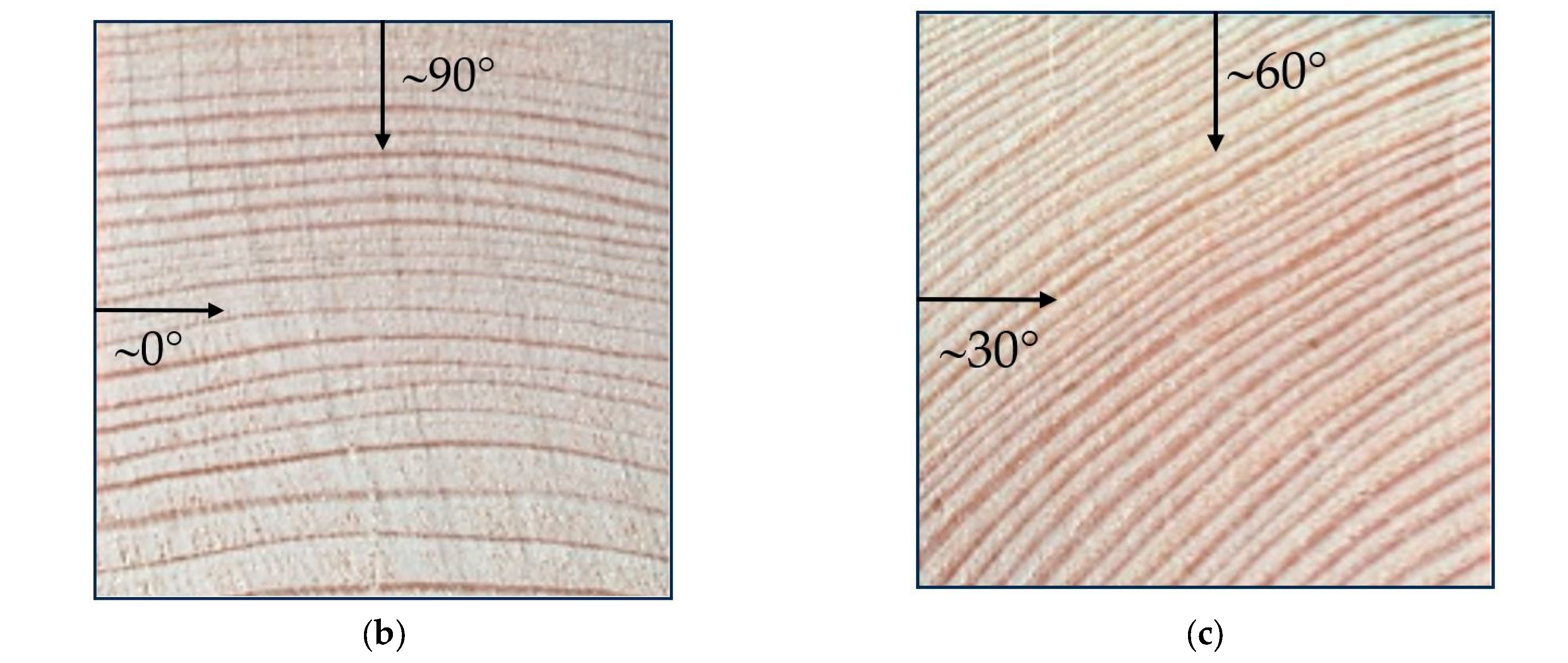 Materials 16 07582 g003b