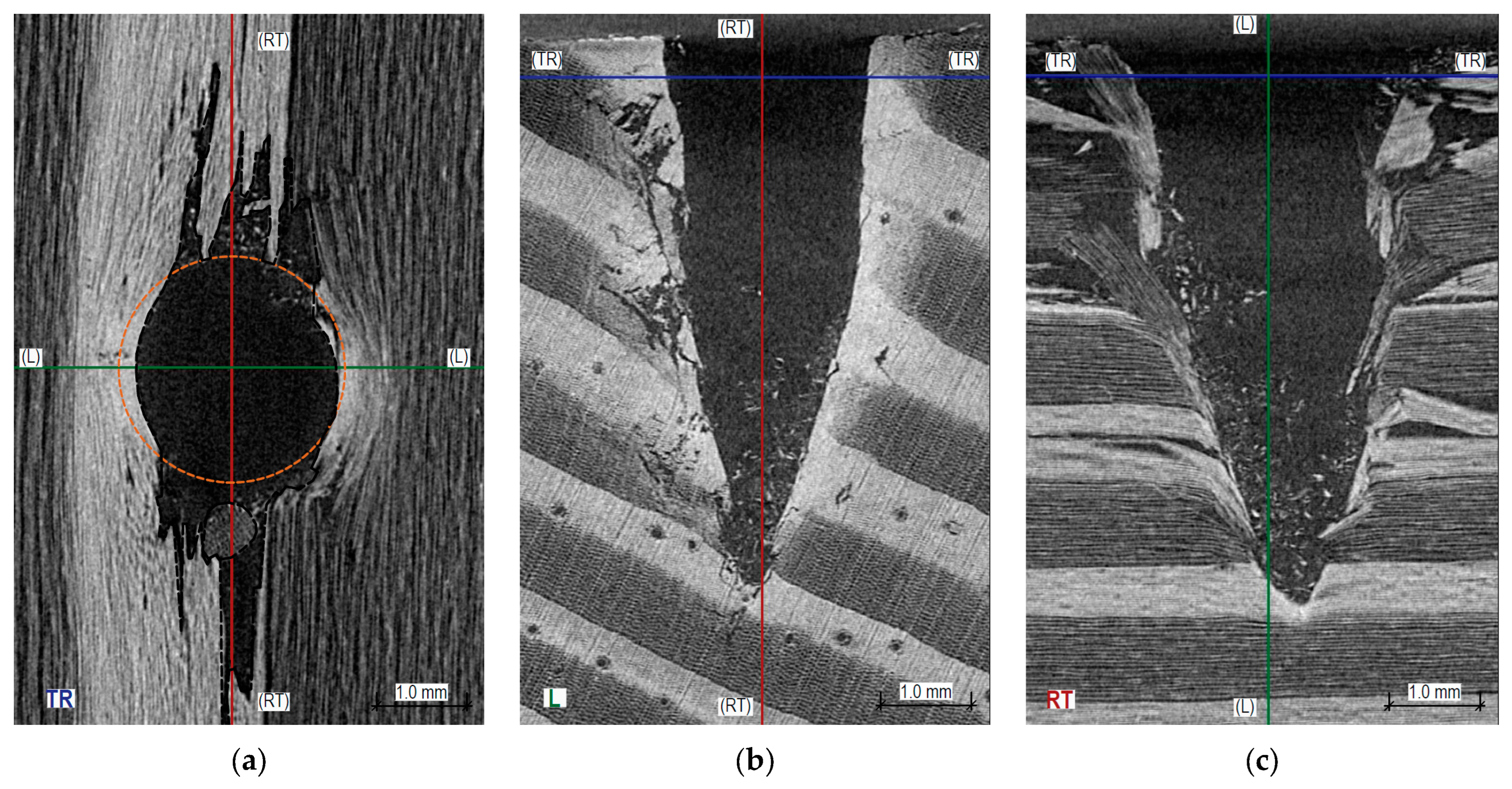 Materials 16 07582 g010