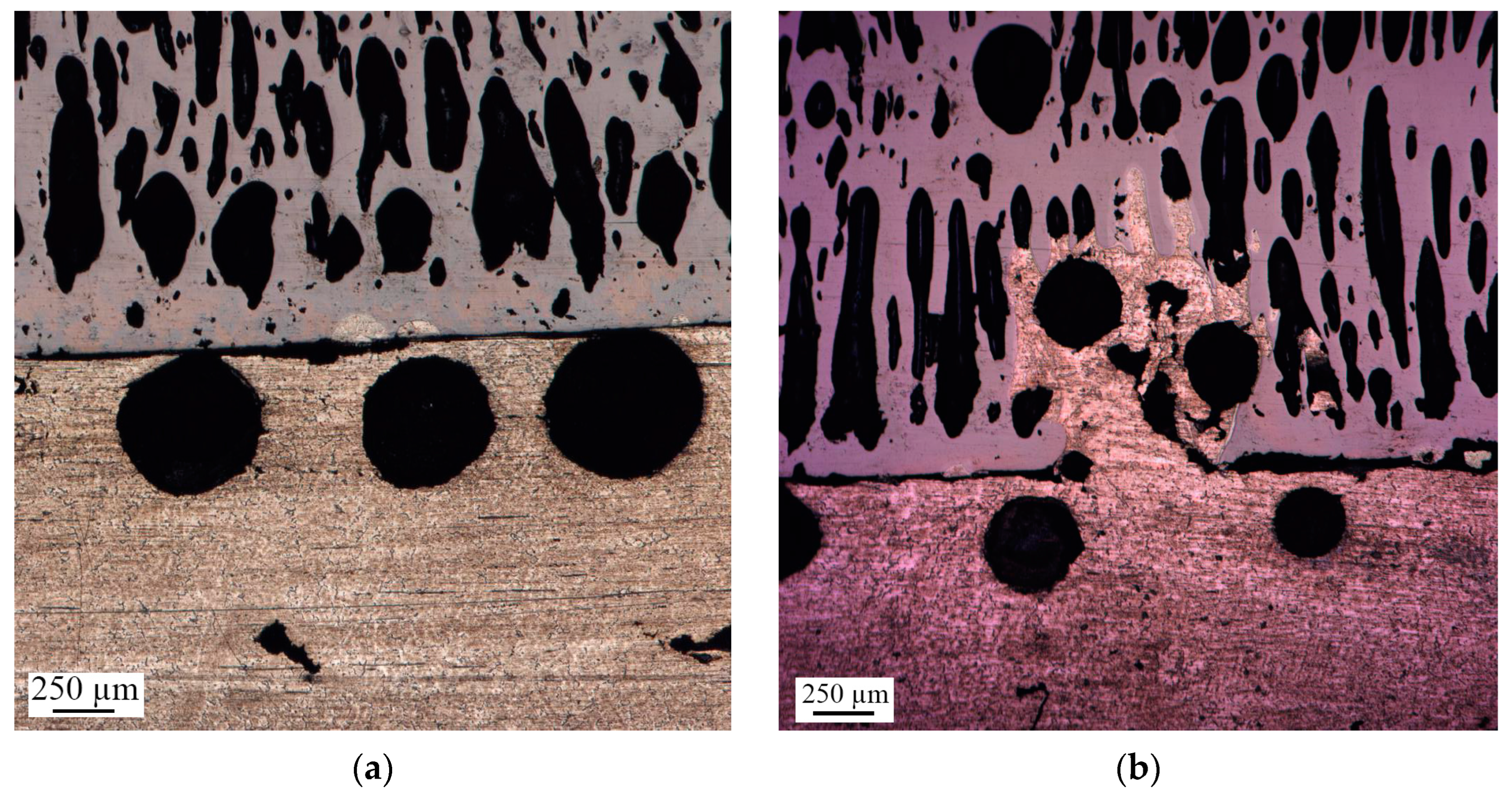 Materials 16 07584 g010