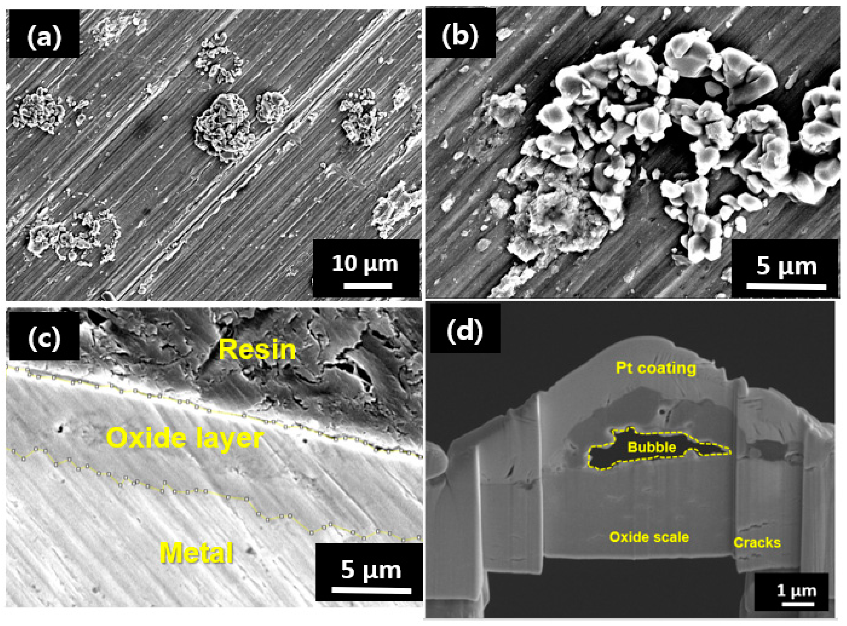 Materials 16 07589 g004