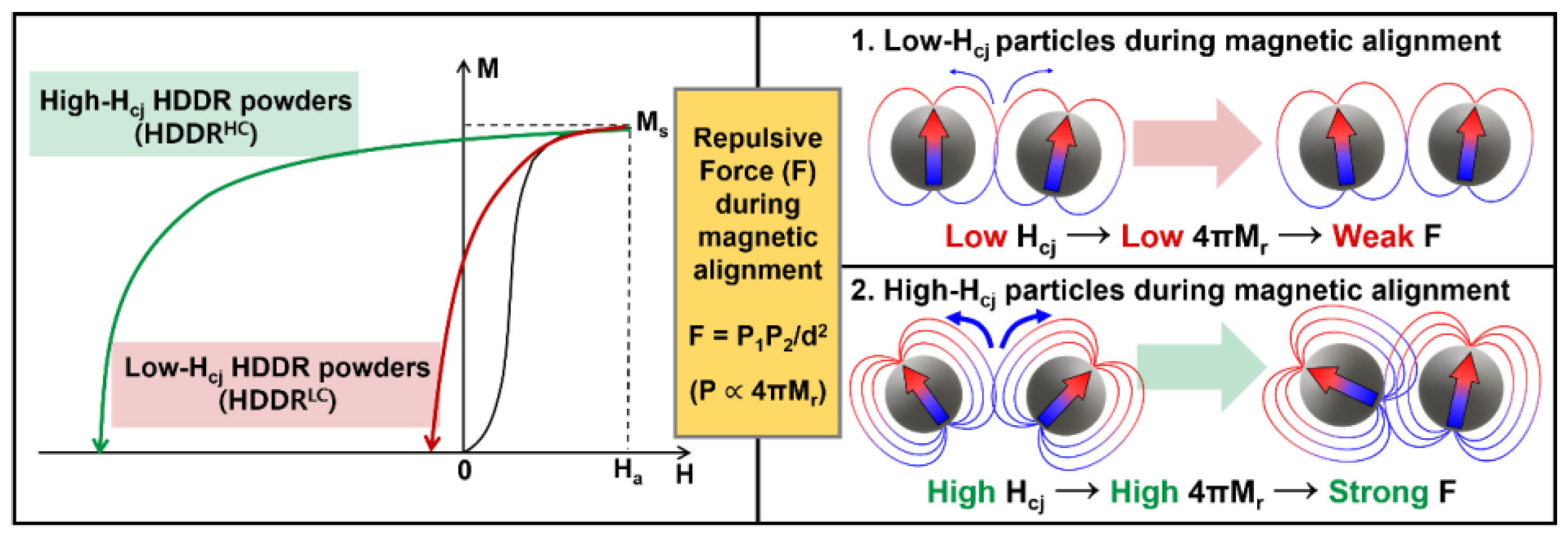 Materials 16 07599 g001