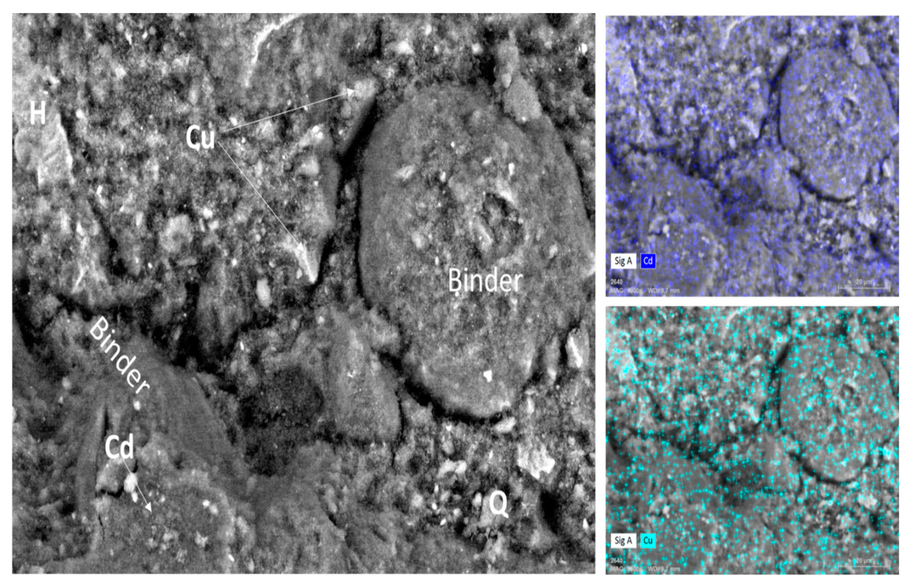 Materials 16 07605 g010