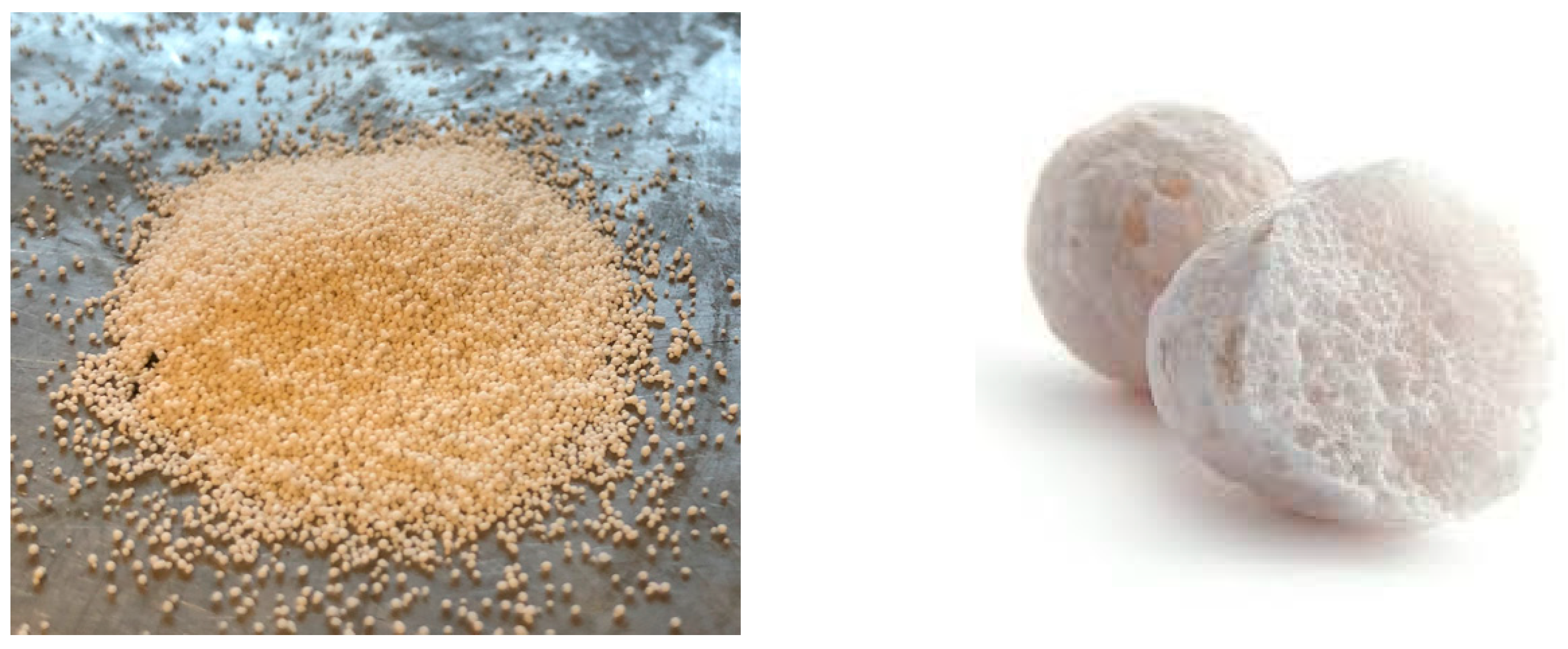 Materials 16 07619 g003