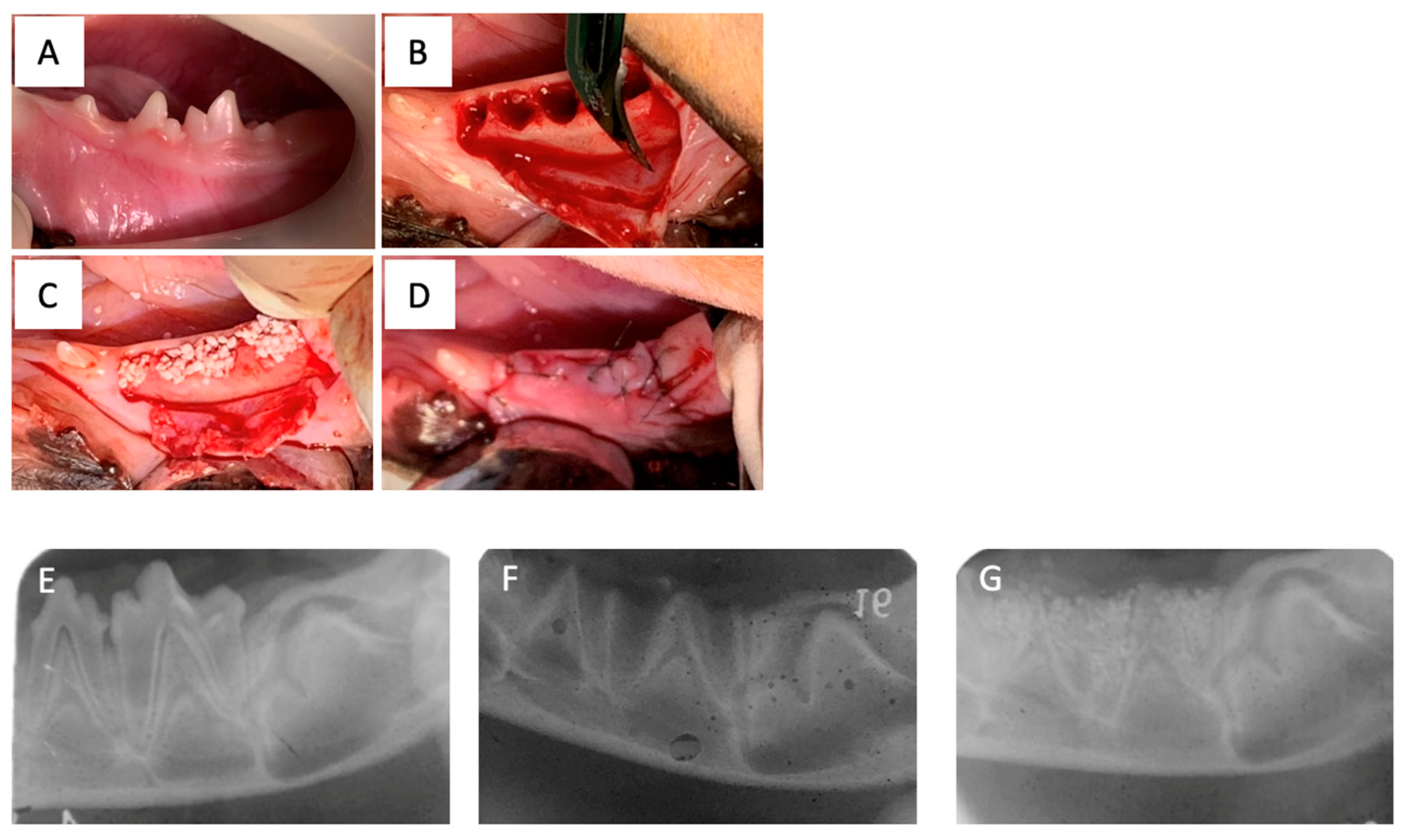 Materials 16 07624 g001