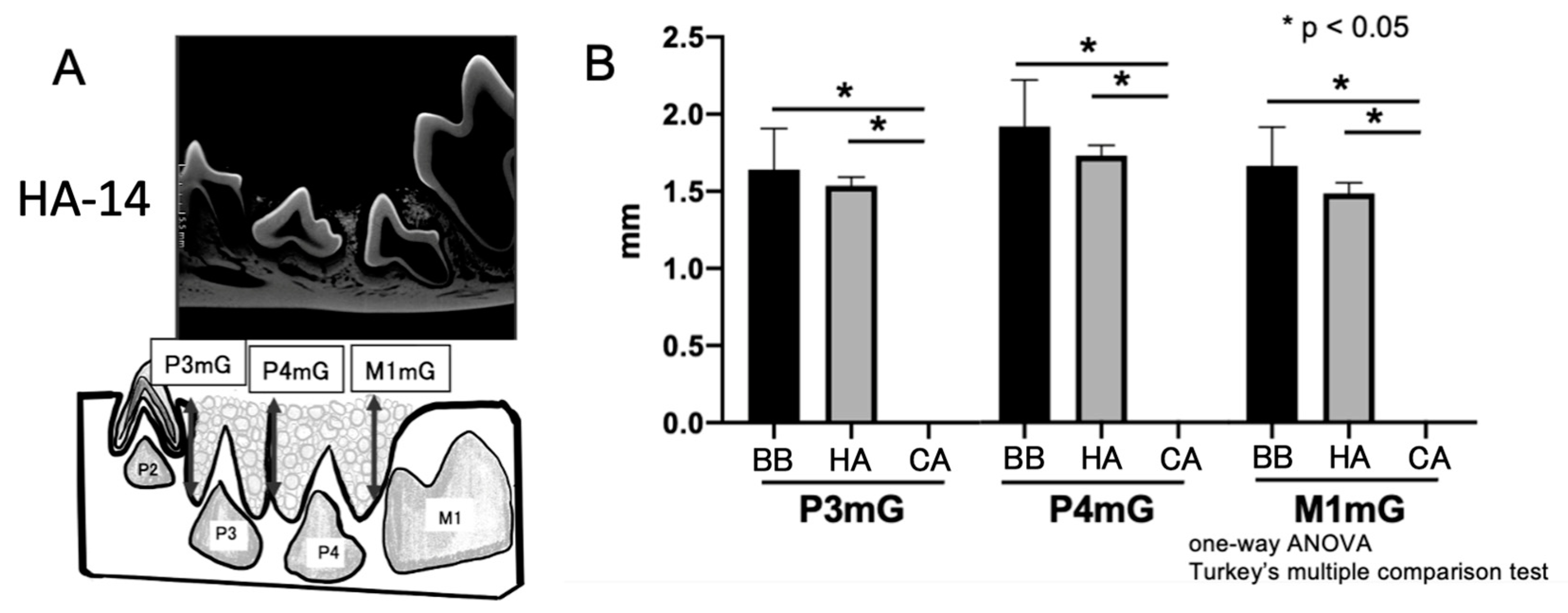 Materials 16 07624 g004