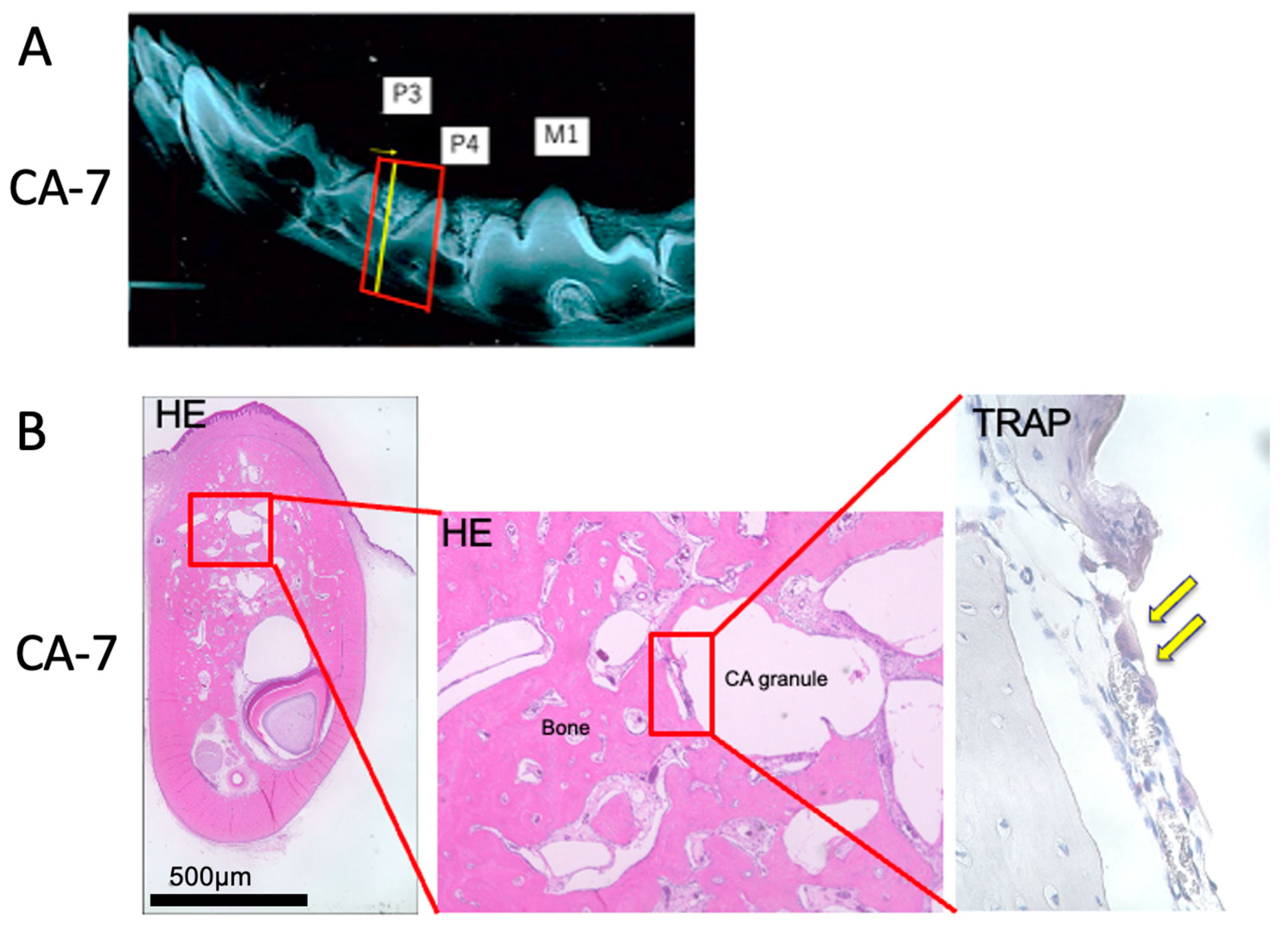 Materials 16 07624 g005