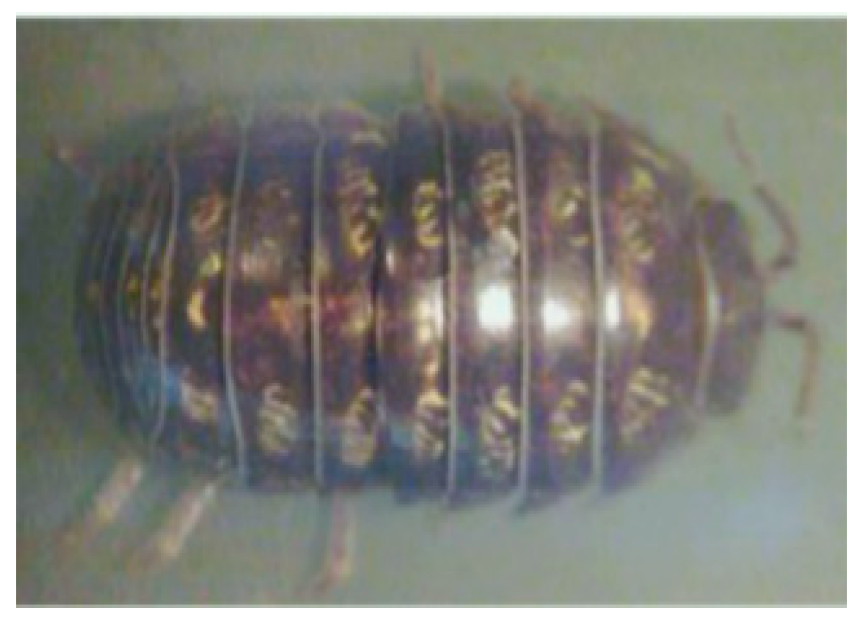 Materials 16 07646 i003