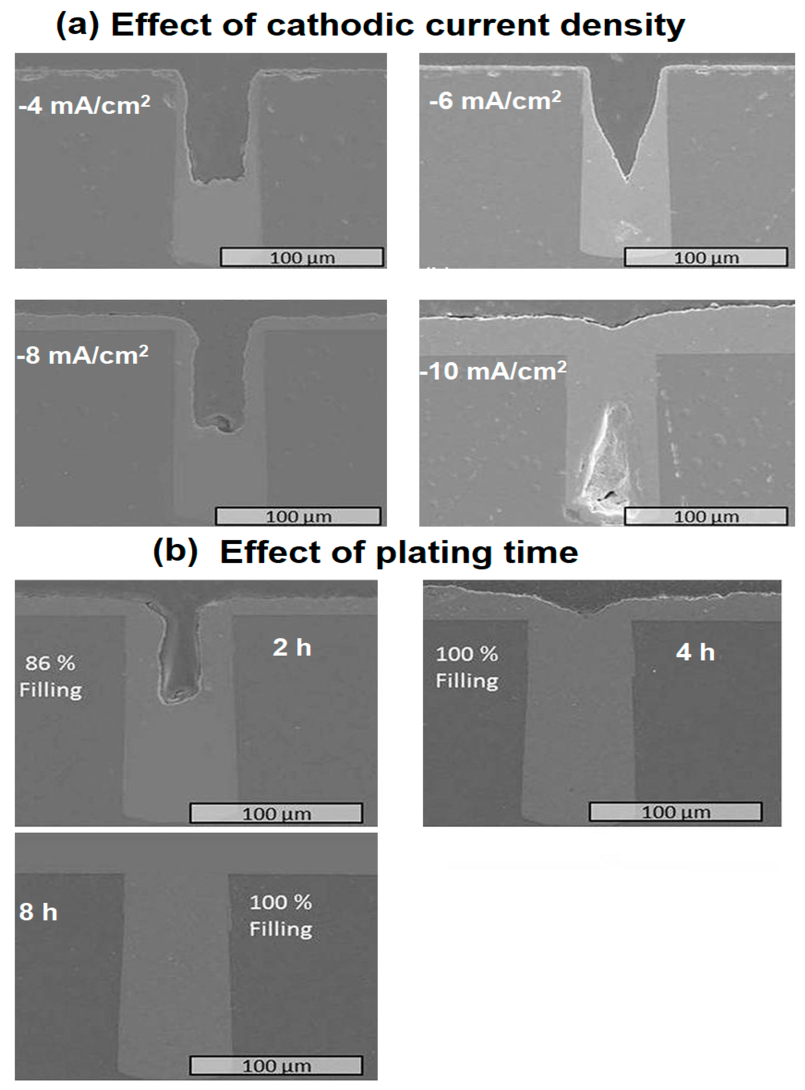 Materials 16 07652 g006