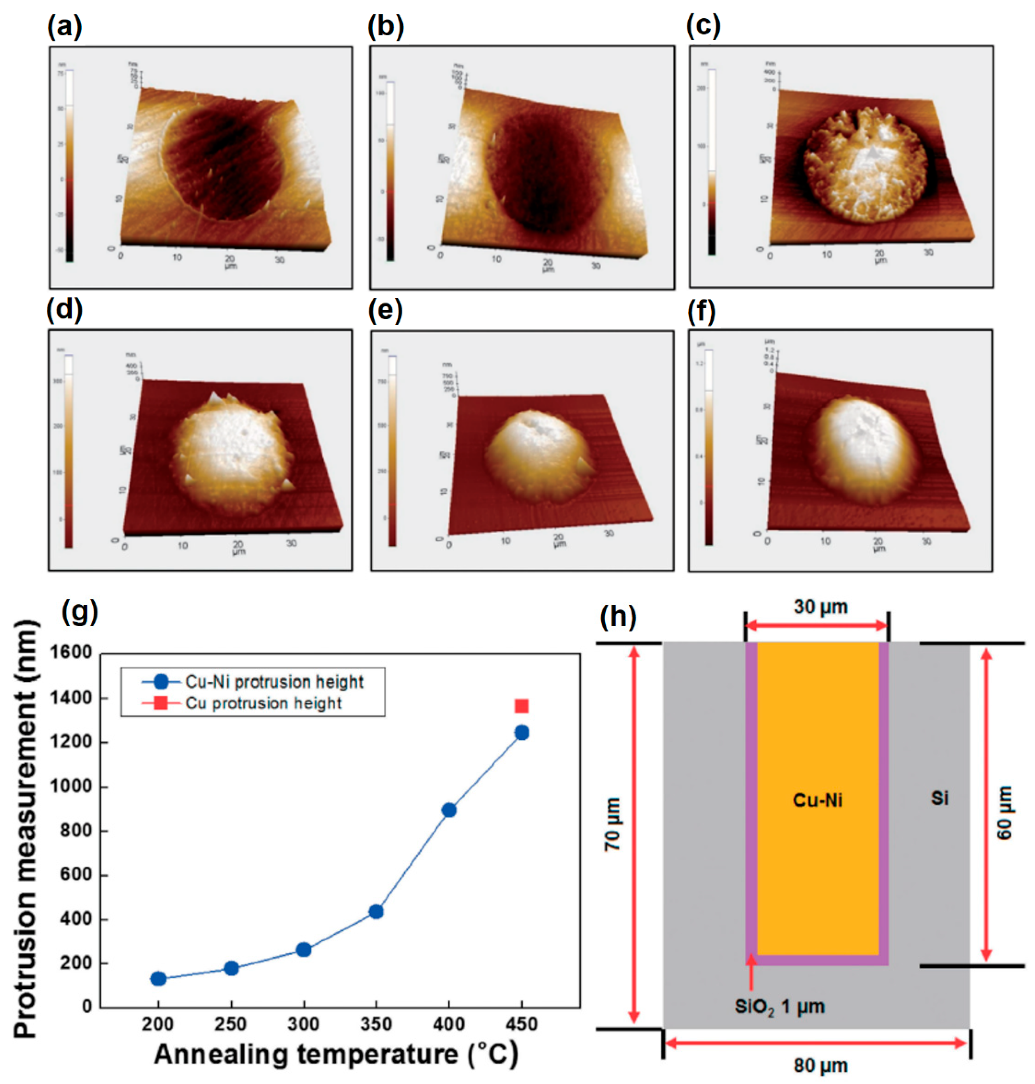 Materials 16 07652 g007