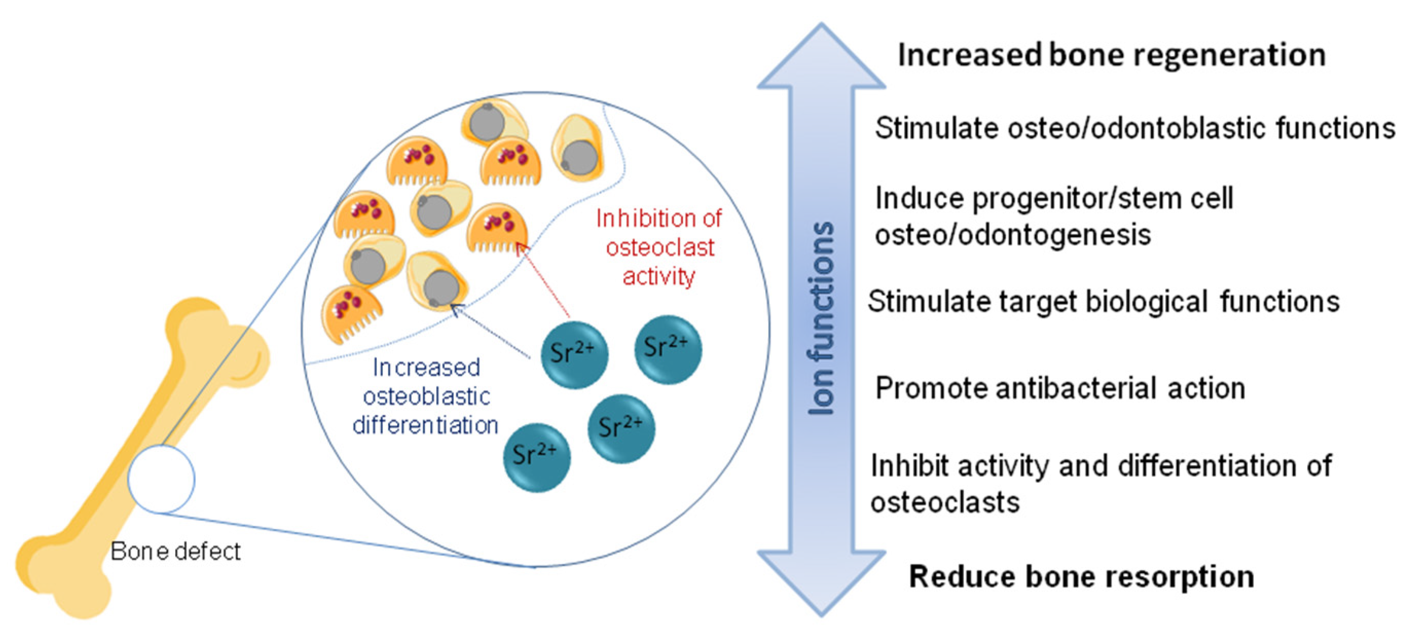 Materials 16 07654 g002