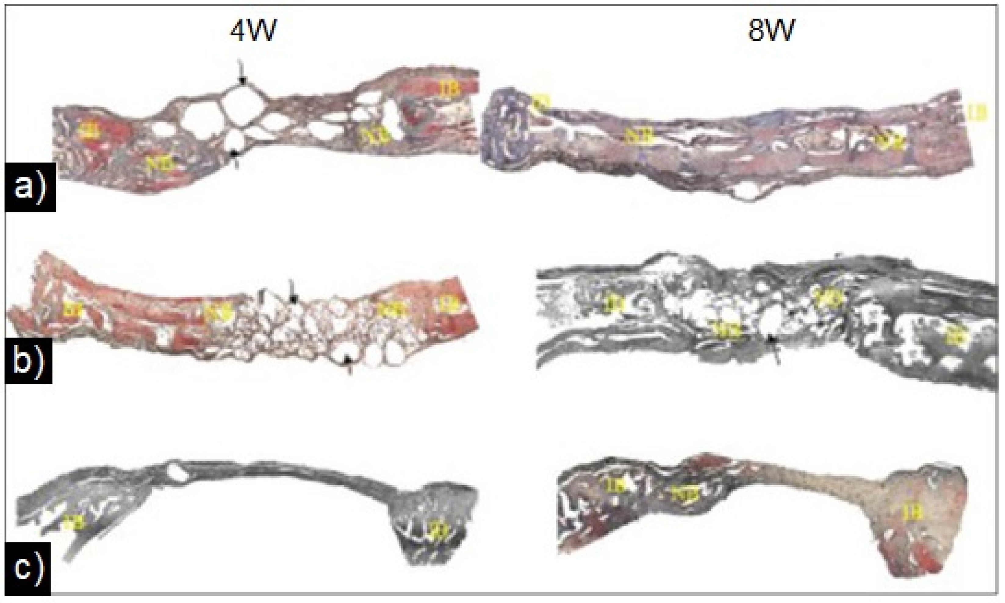 Materials 16 07654 g005