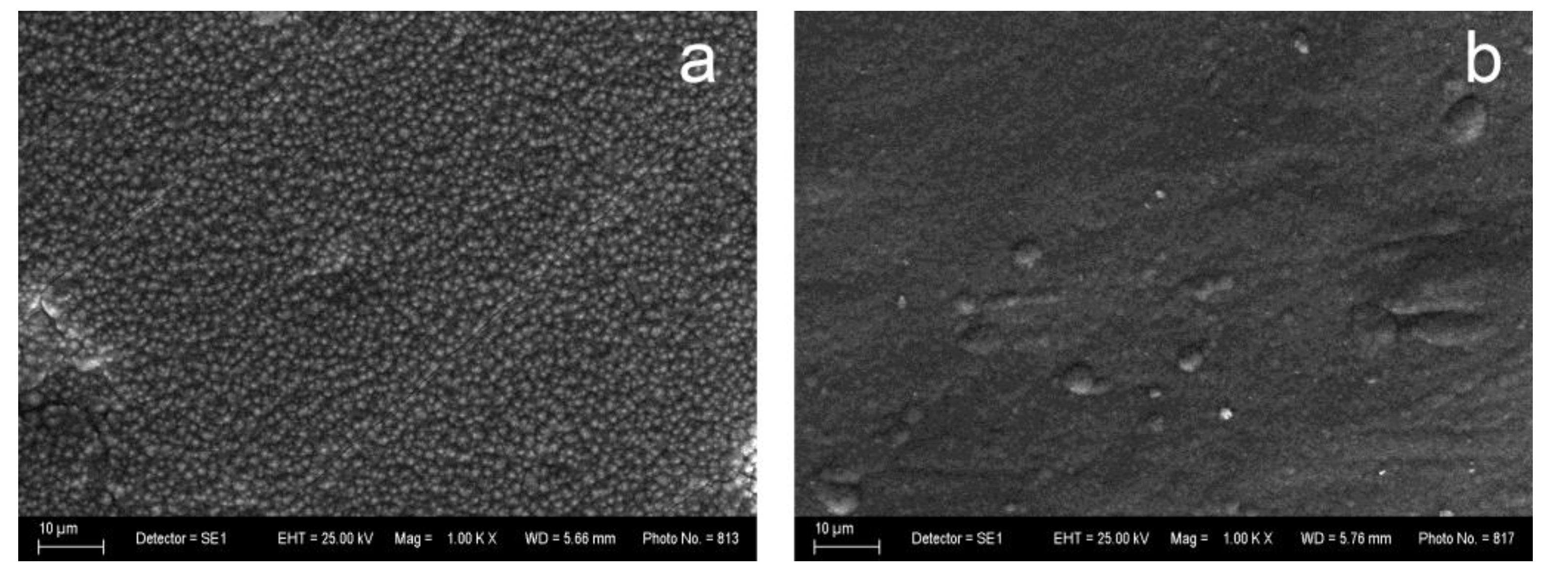 Materials 16 07673 g001