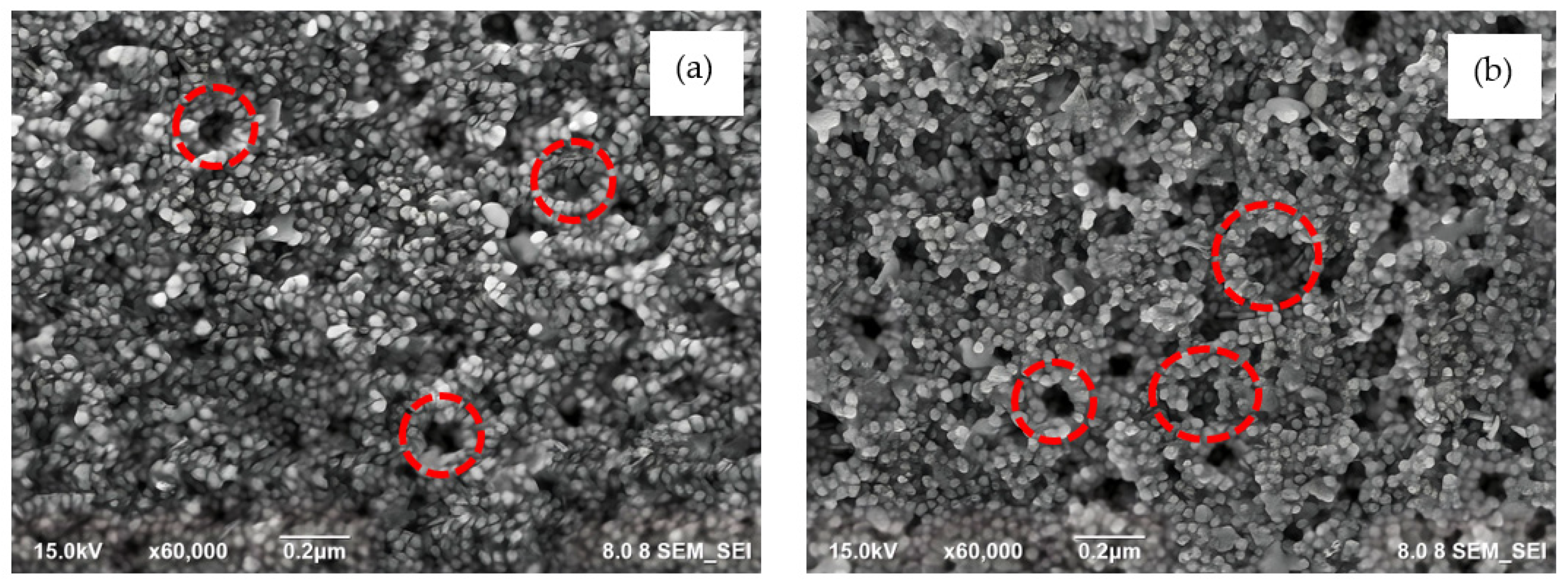 Materials 16 07675 g005