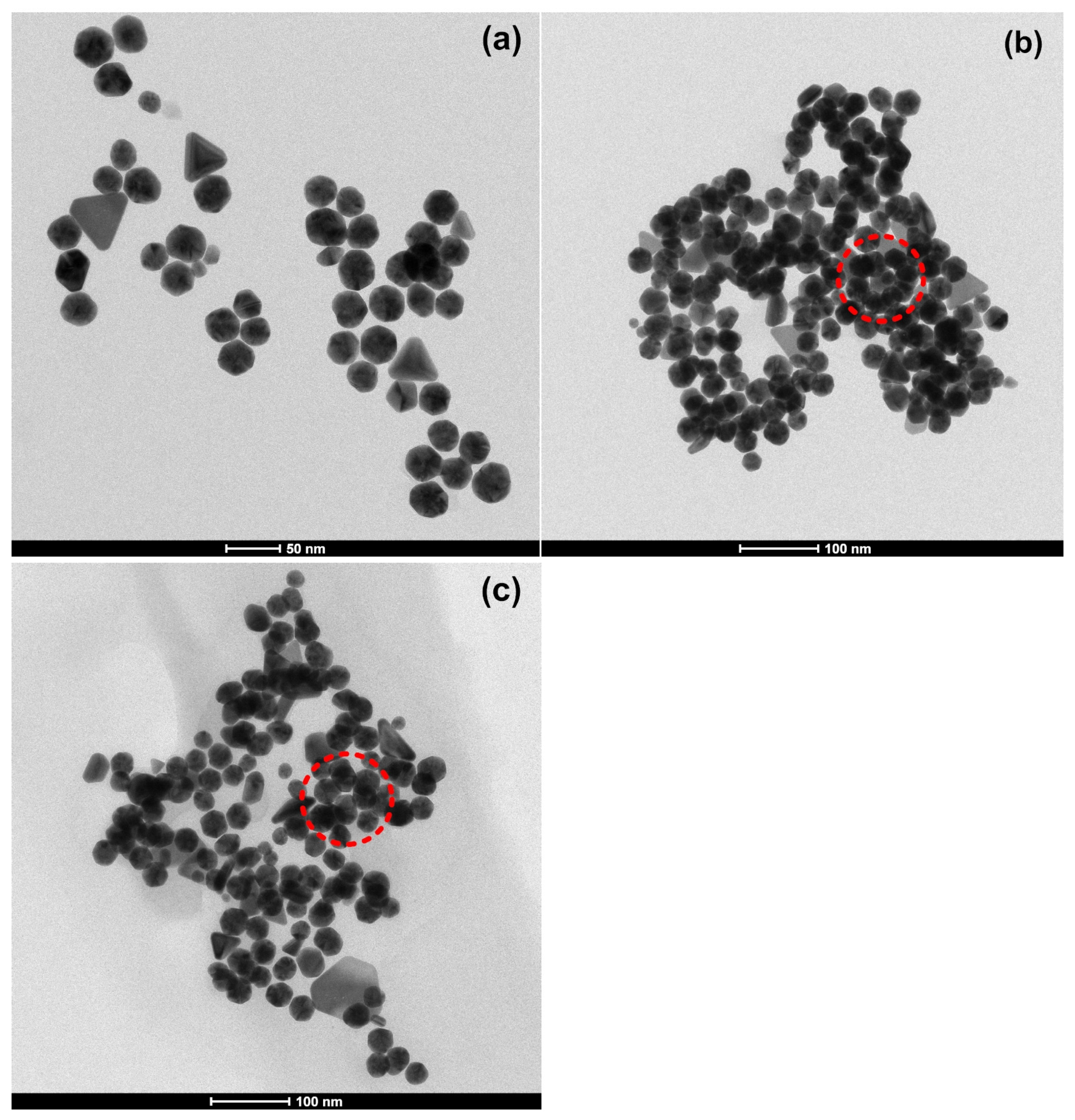 Materials 16 07675 g007