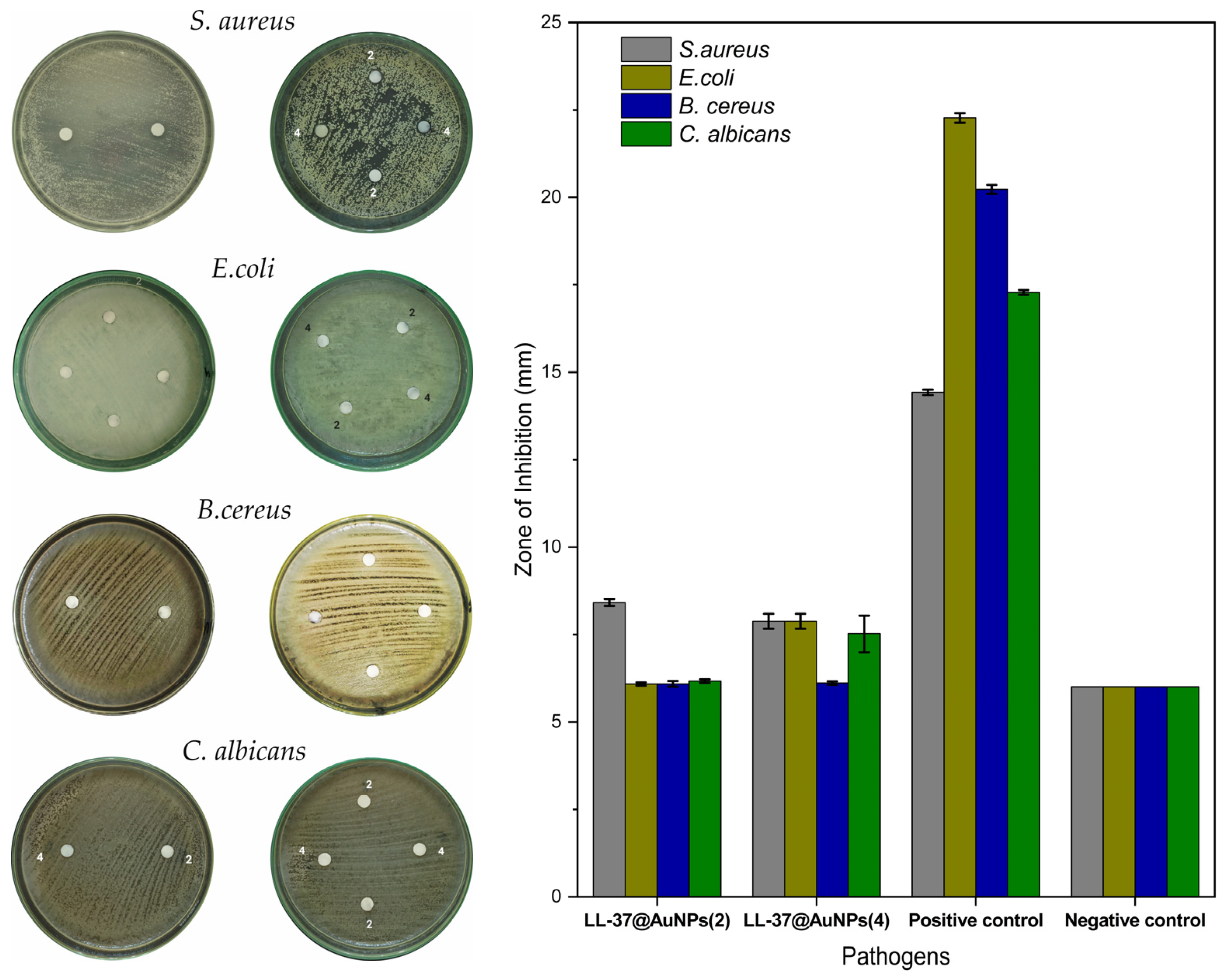 Materials 16 07675 g008