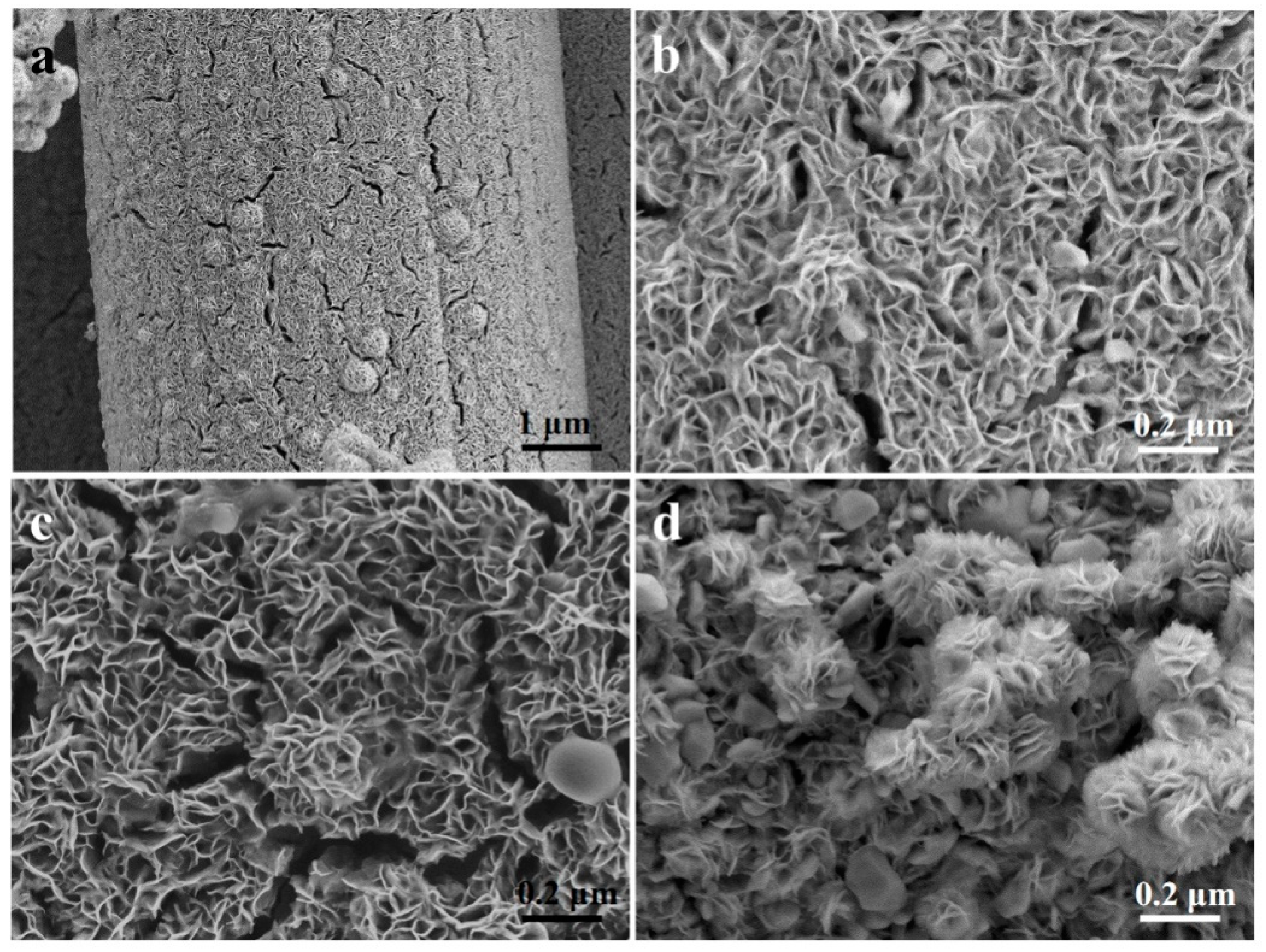 Materials 16 07678 g001