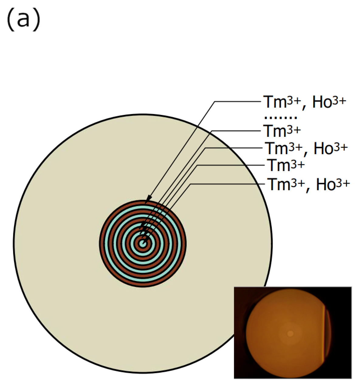 Materials 16 07679 g003a