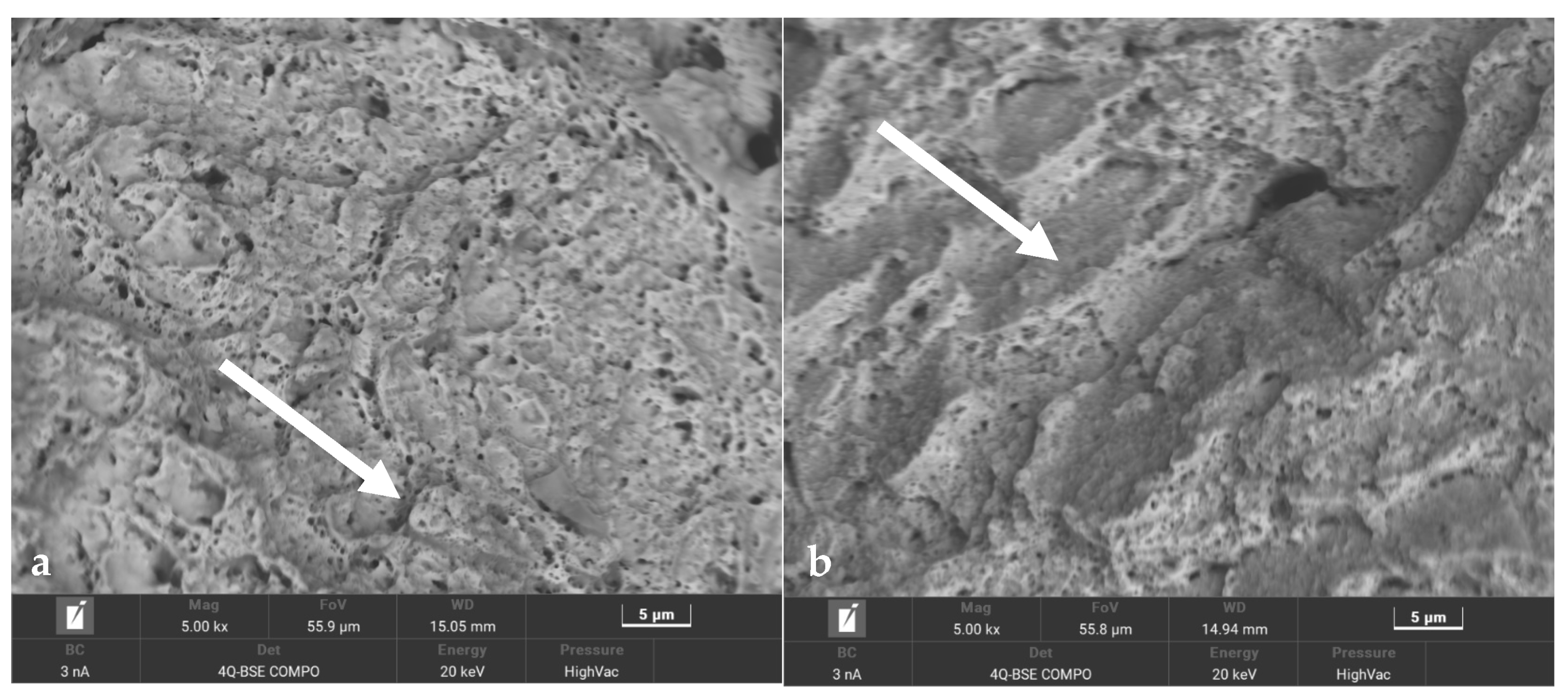 Materials 16 07682 g016