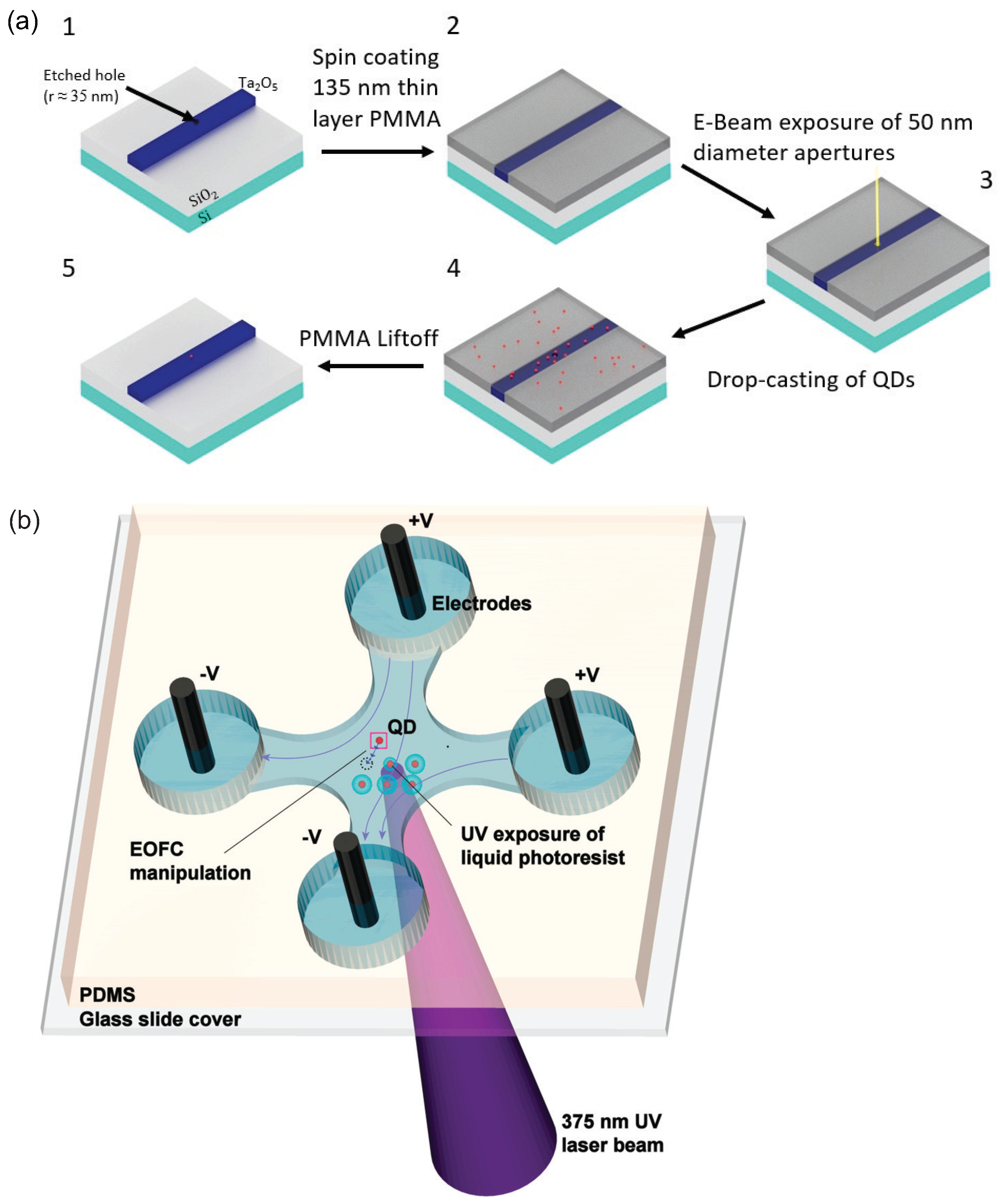 Materials 16 07684 g013