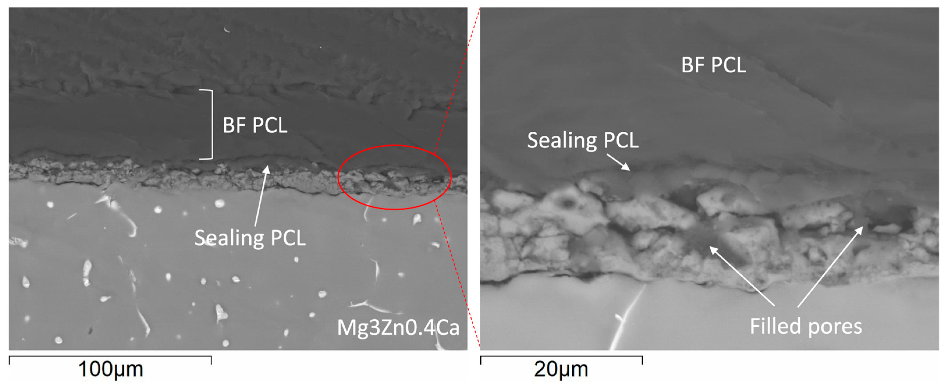 Materials 16 07688 g002