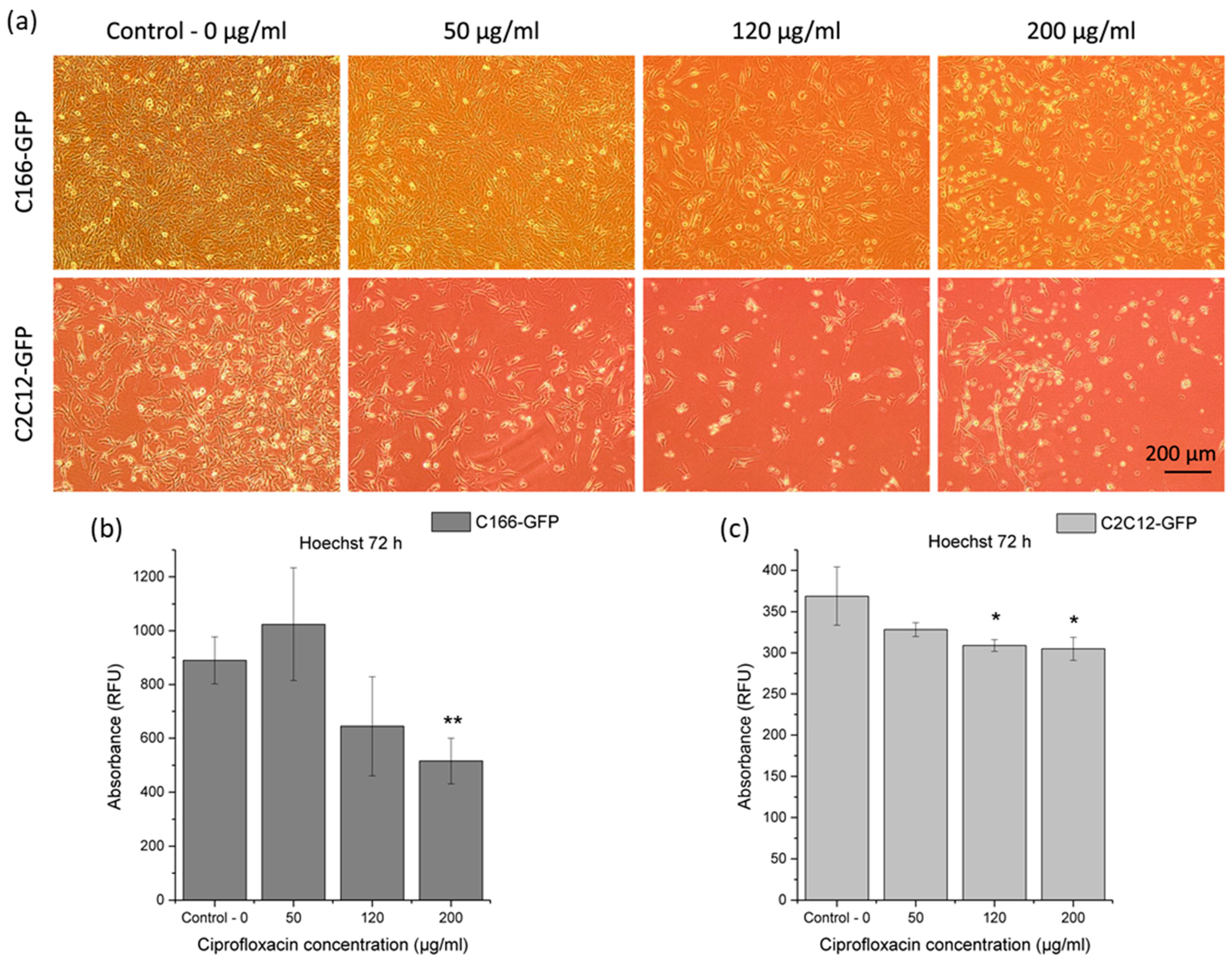Materials 16 07688 g006
