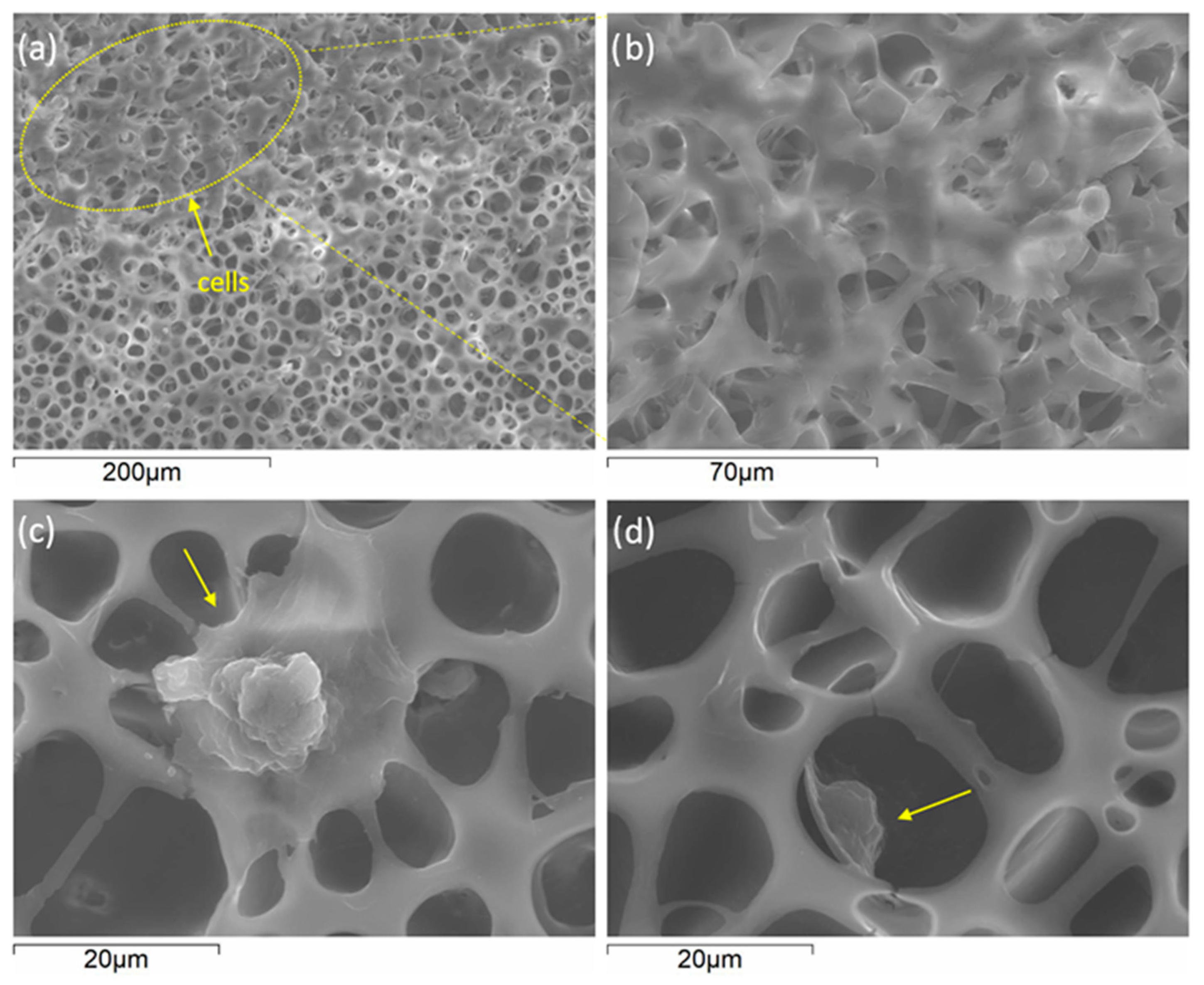 Materials 16 07688 g009