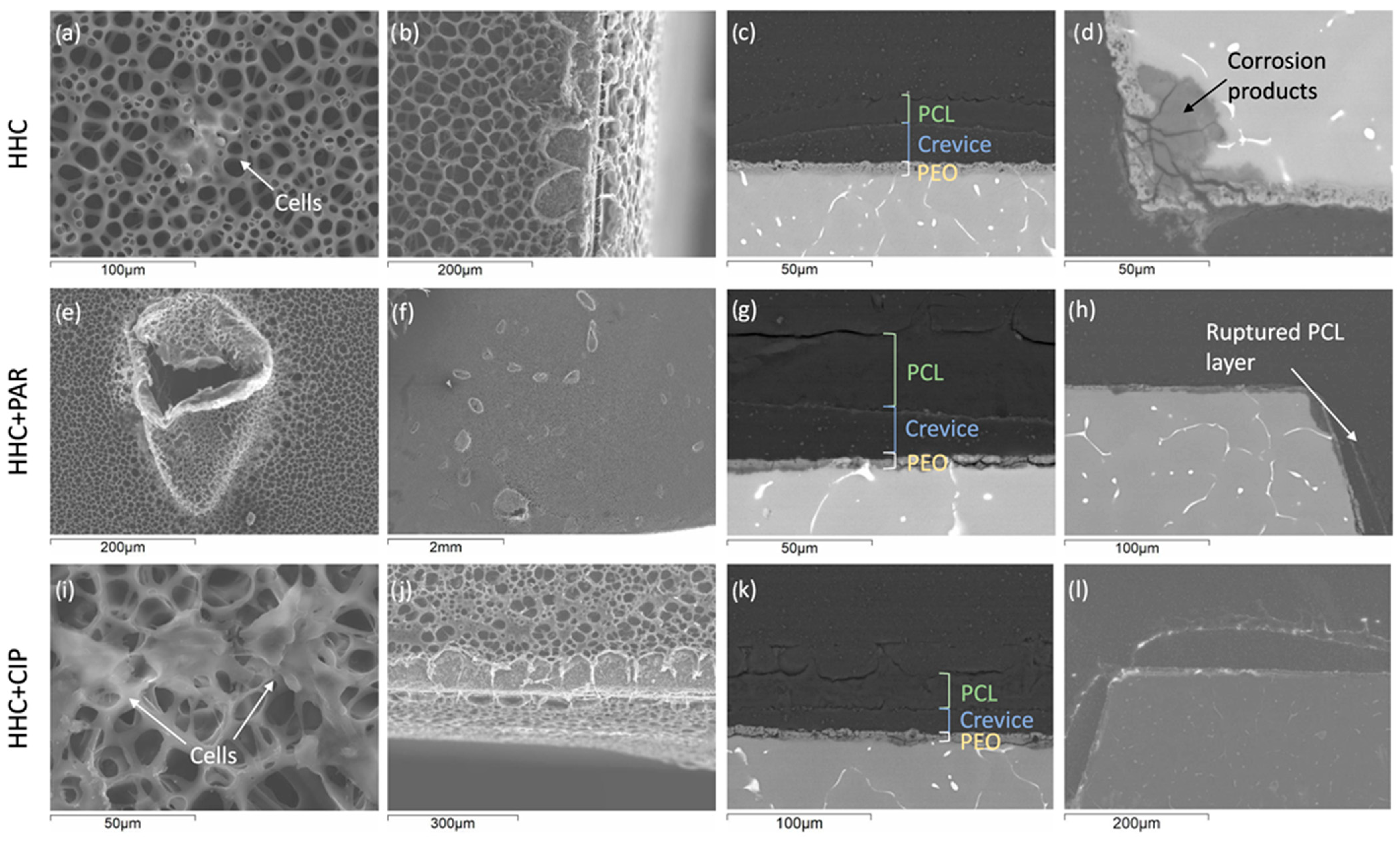 Materials 16 07688 g011