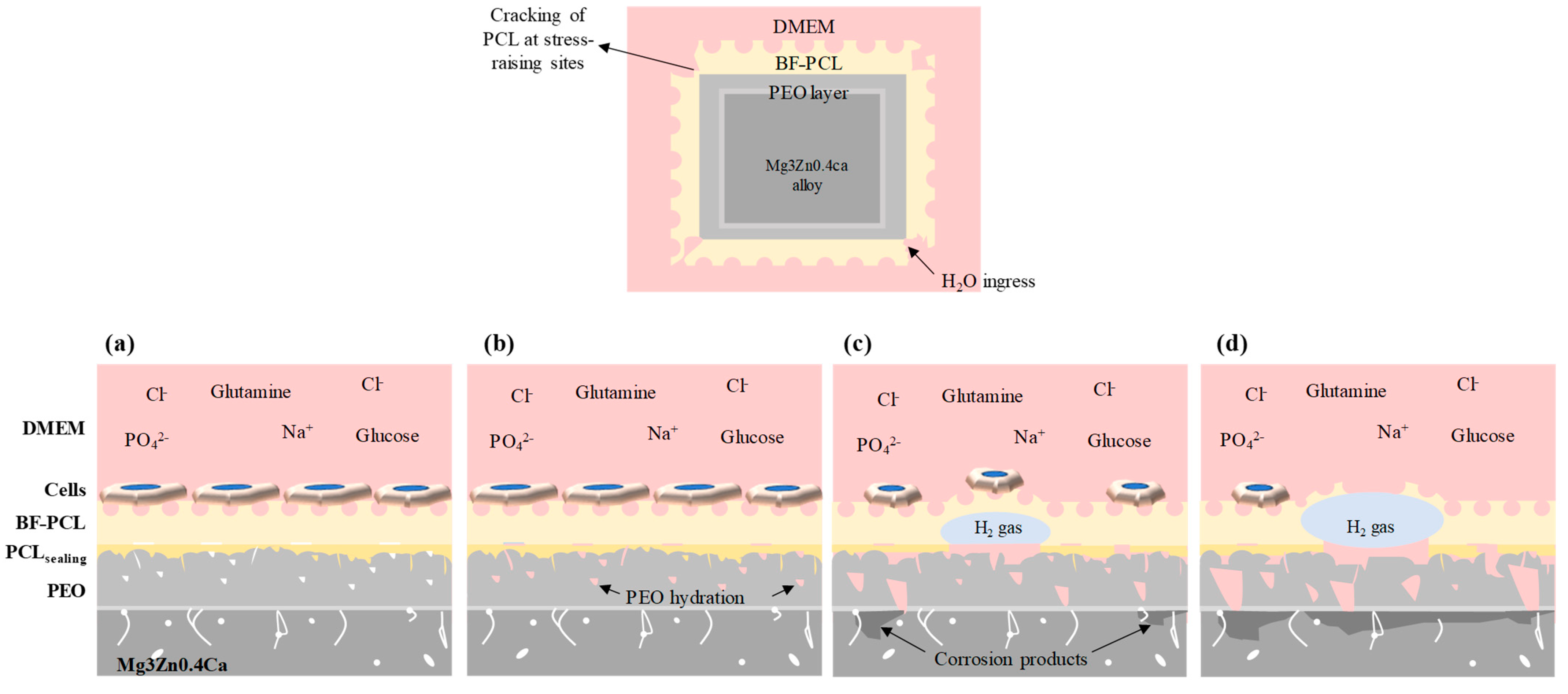 Materials 16 07688 g013