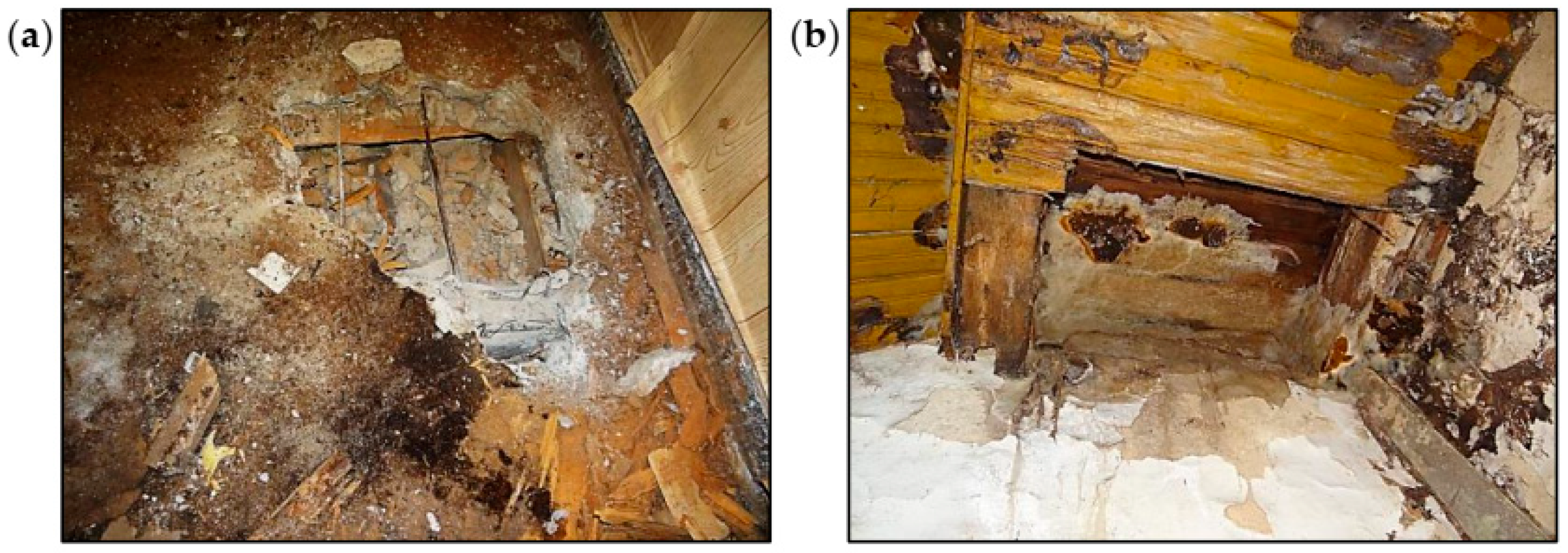 Materials 16 07689 g011