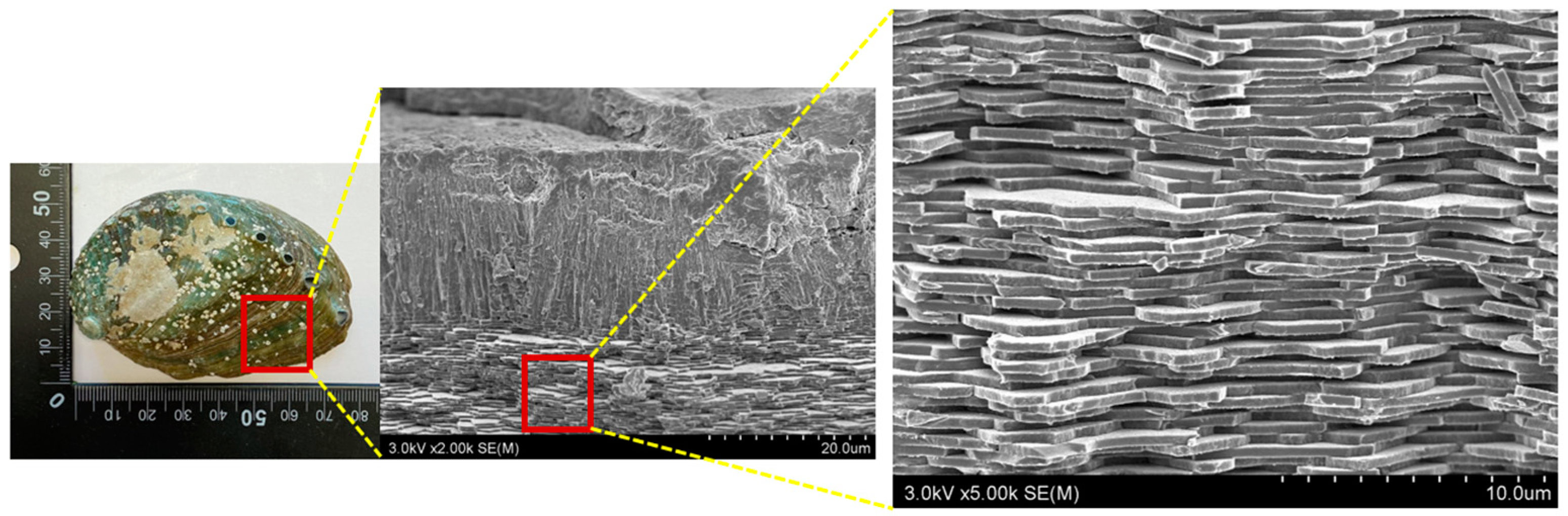 Materials 16 07700 g001