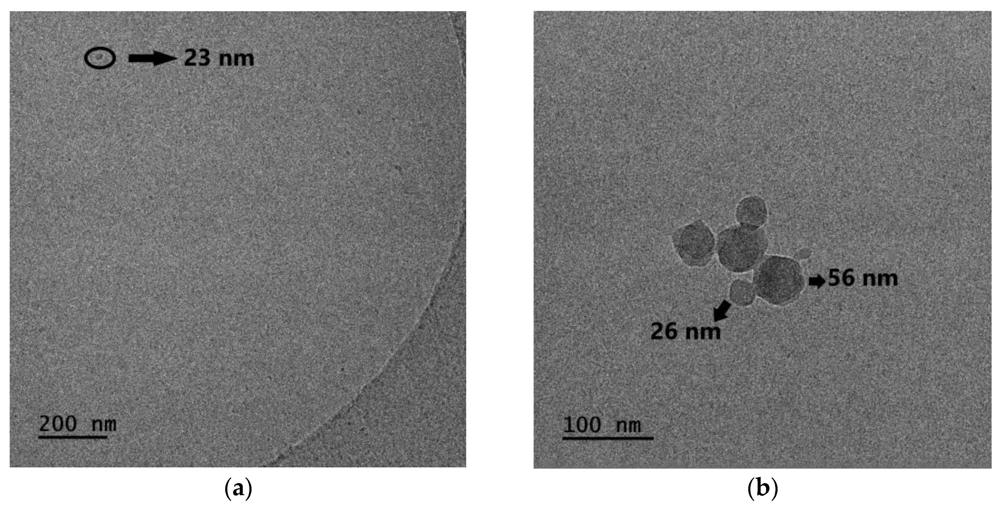 Materials 16 07702 g008