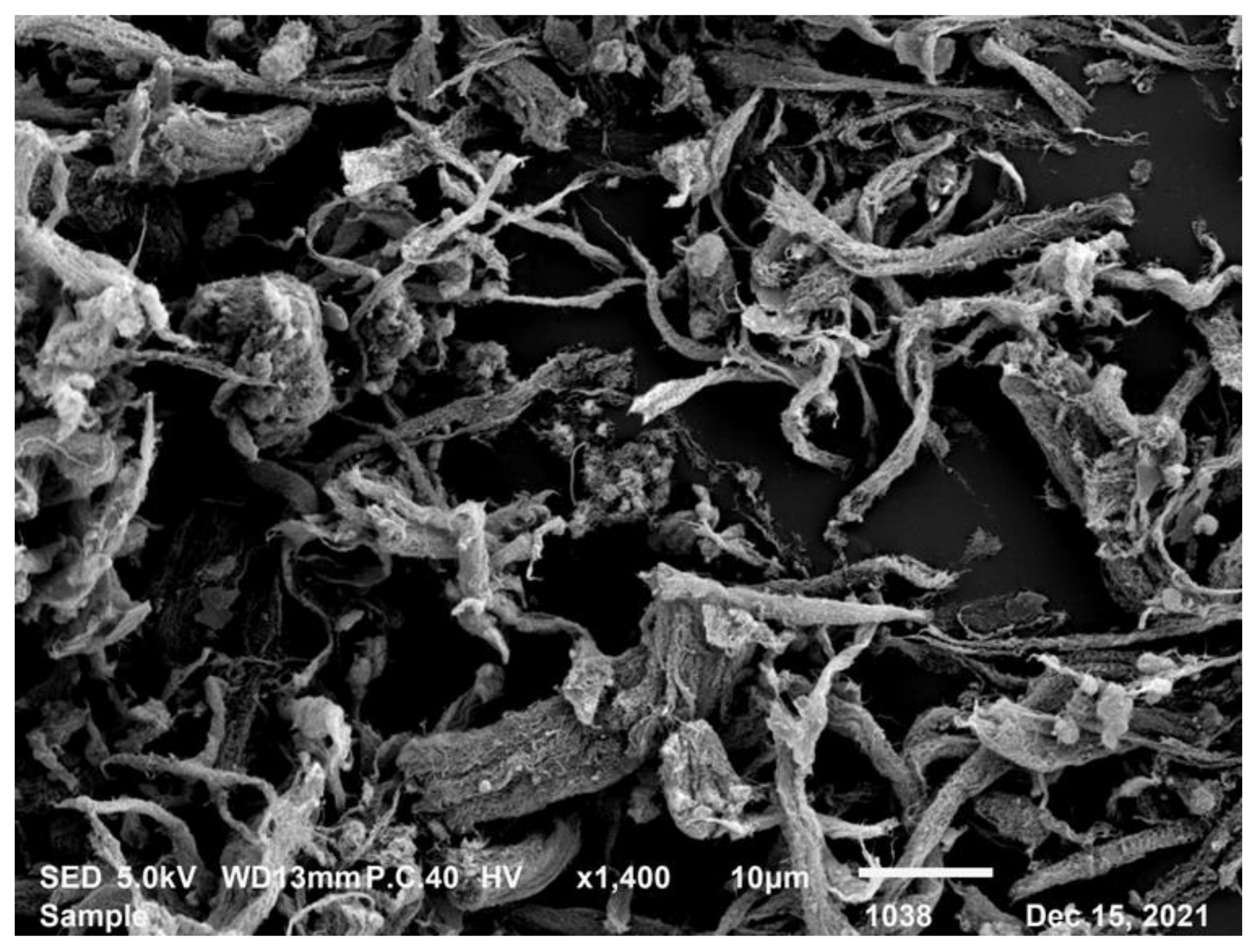 Materials 16 07705 g002