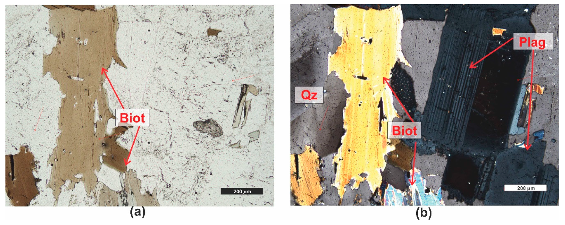 Materials 16 07706 g012