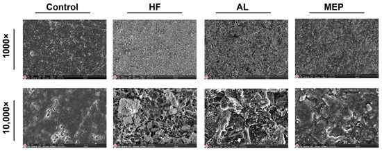 Materials | Free Full-Text | Adhesive Performance of Resin Cement to ...