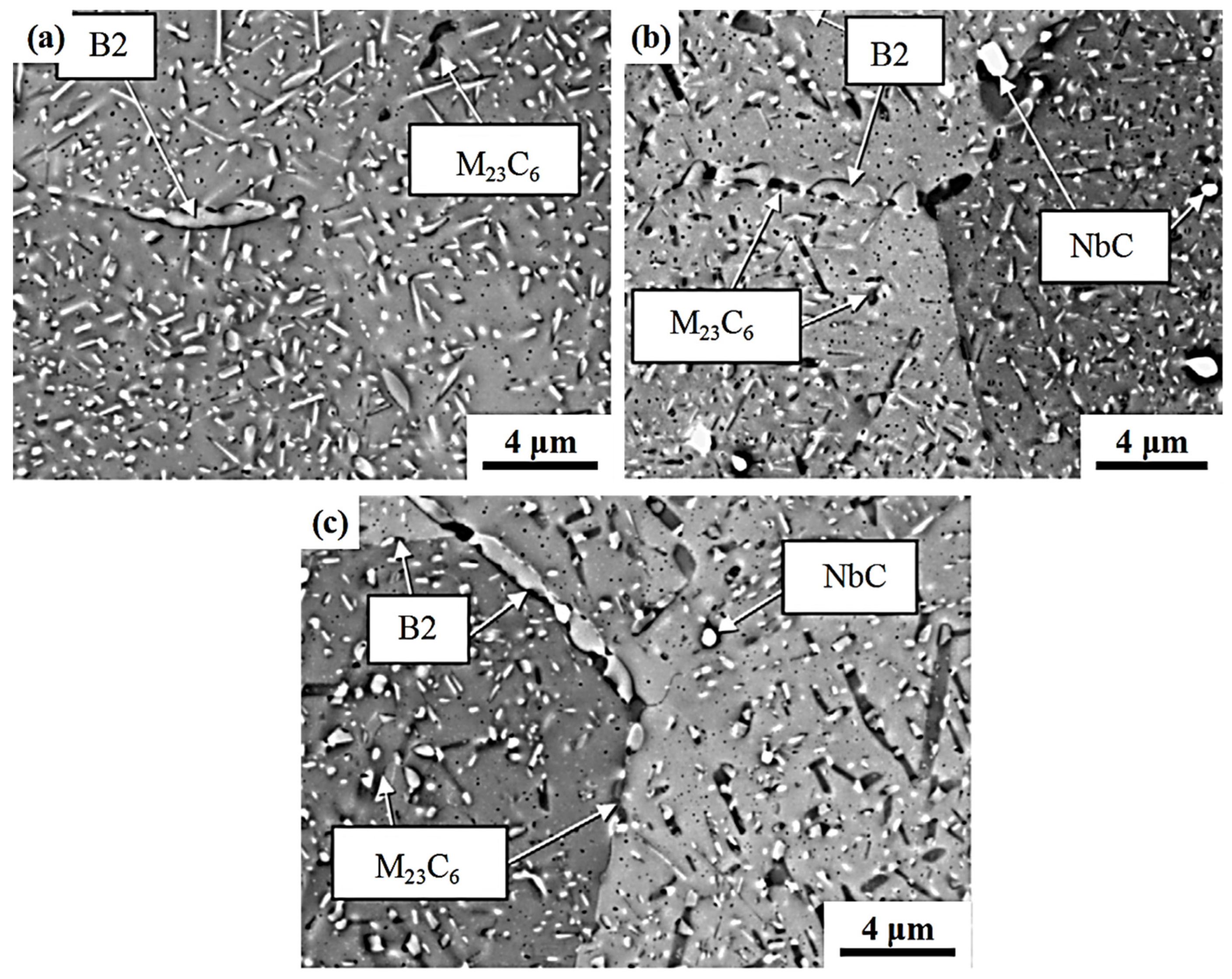 Materials 17 00019 g002