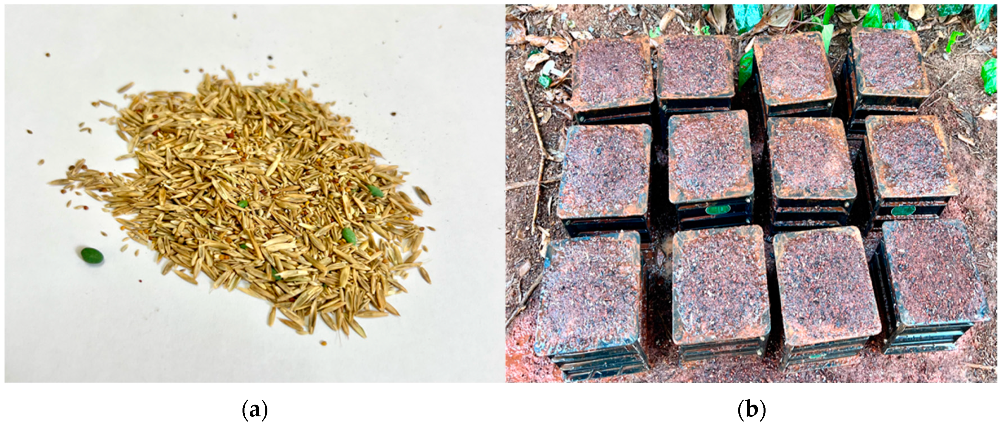 Materials 17 00031 g002