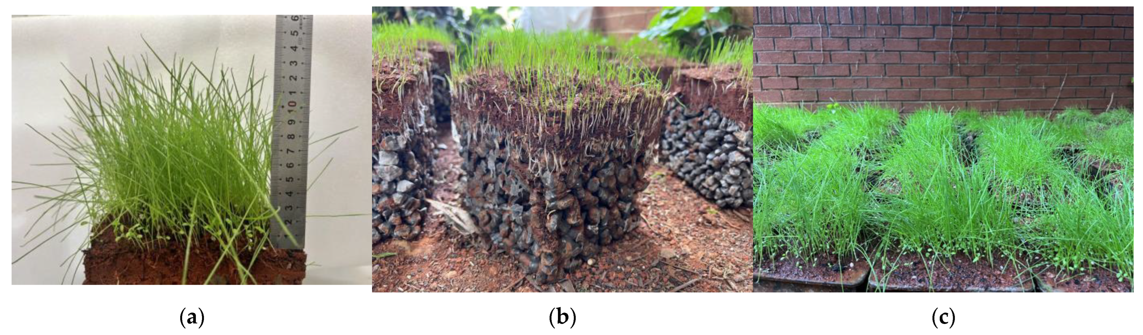 Materials 17 00031 g013