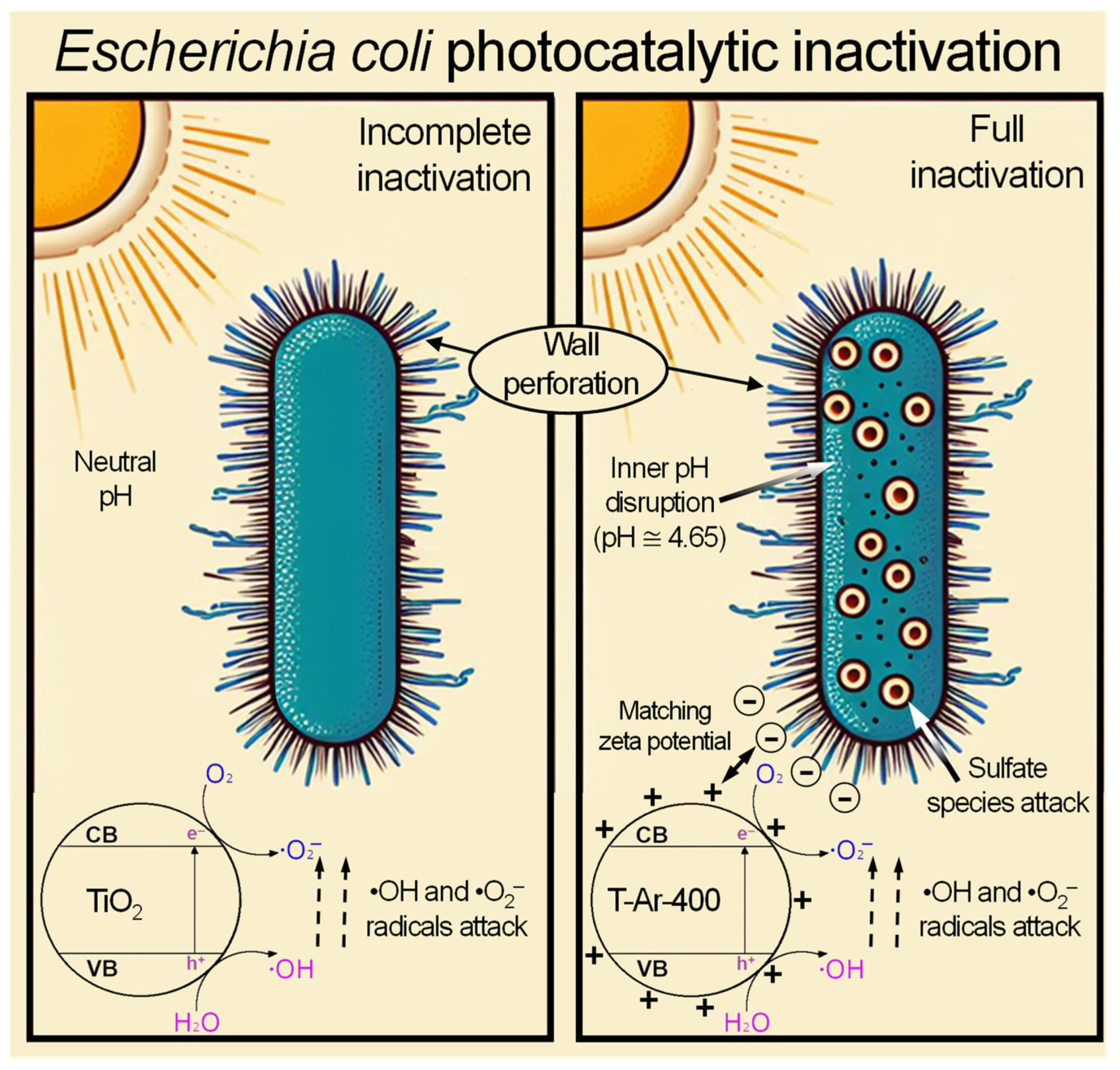 Materials 17 00066 g012